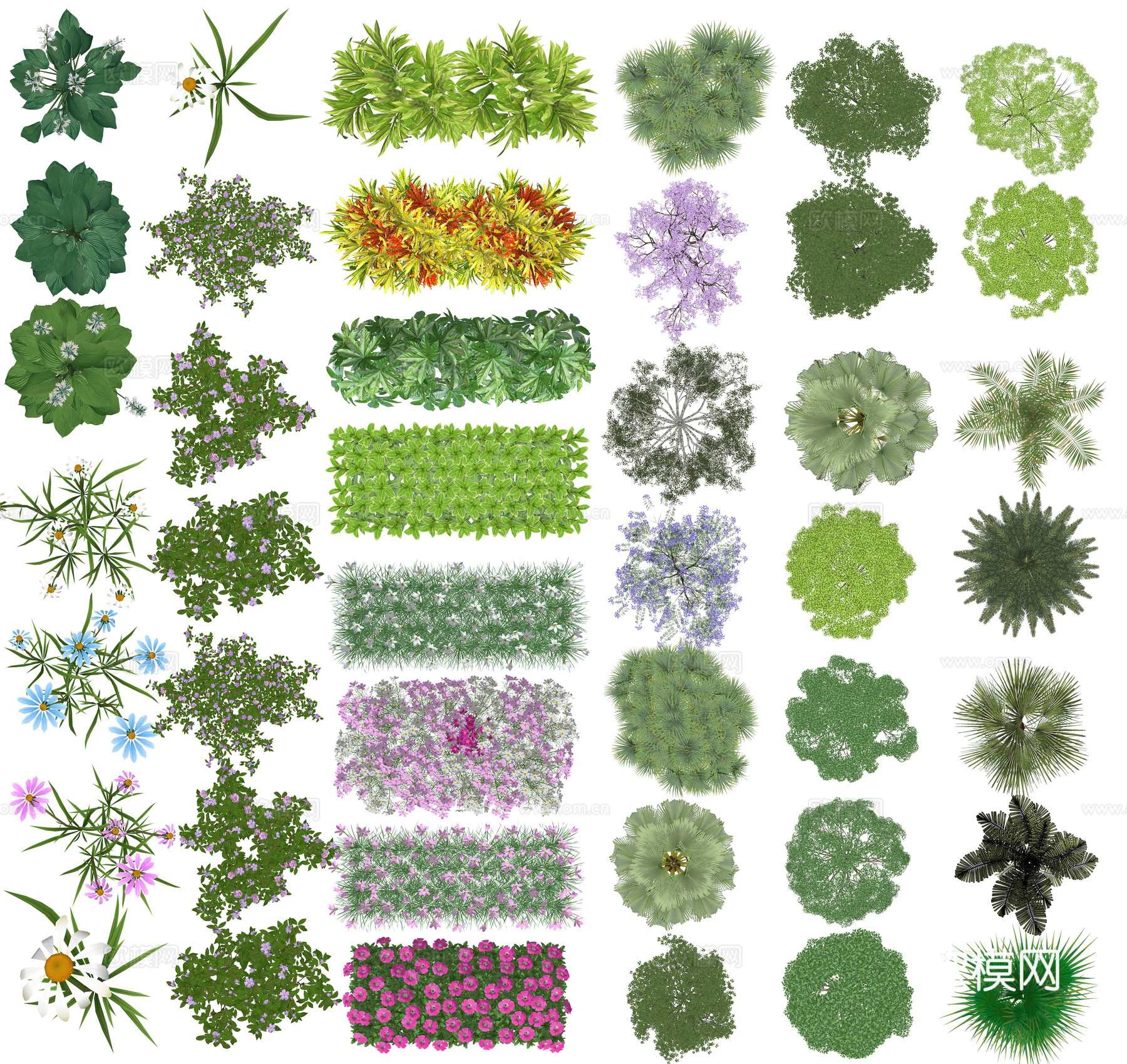 彩平平面植物PSD免抠图