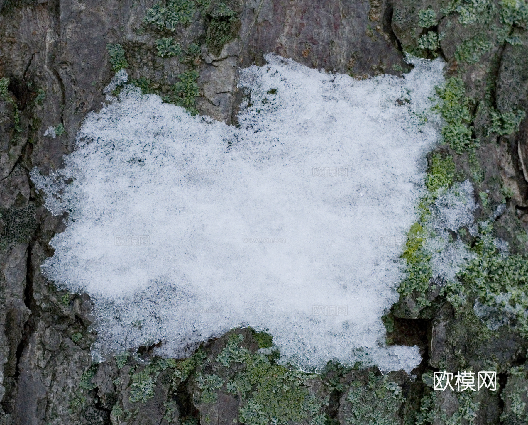 雪地地面 雪地下载