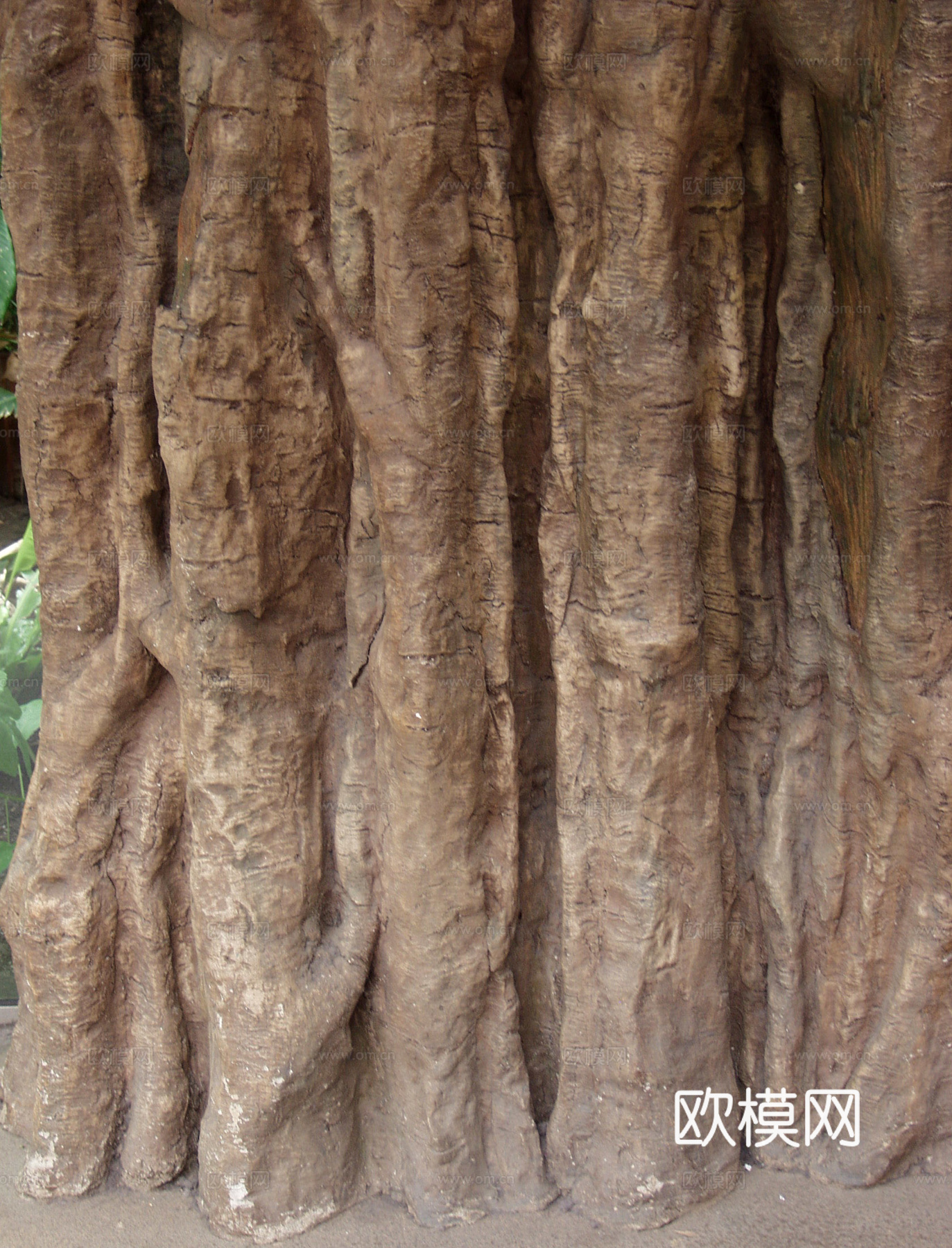 热带树干 旧木 树皮下载