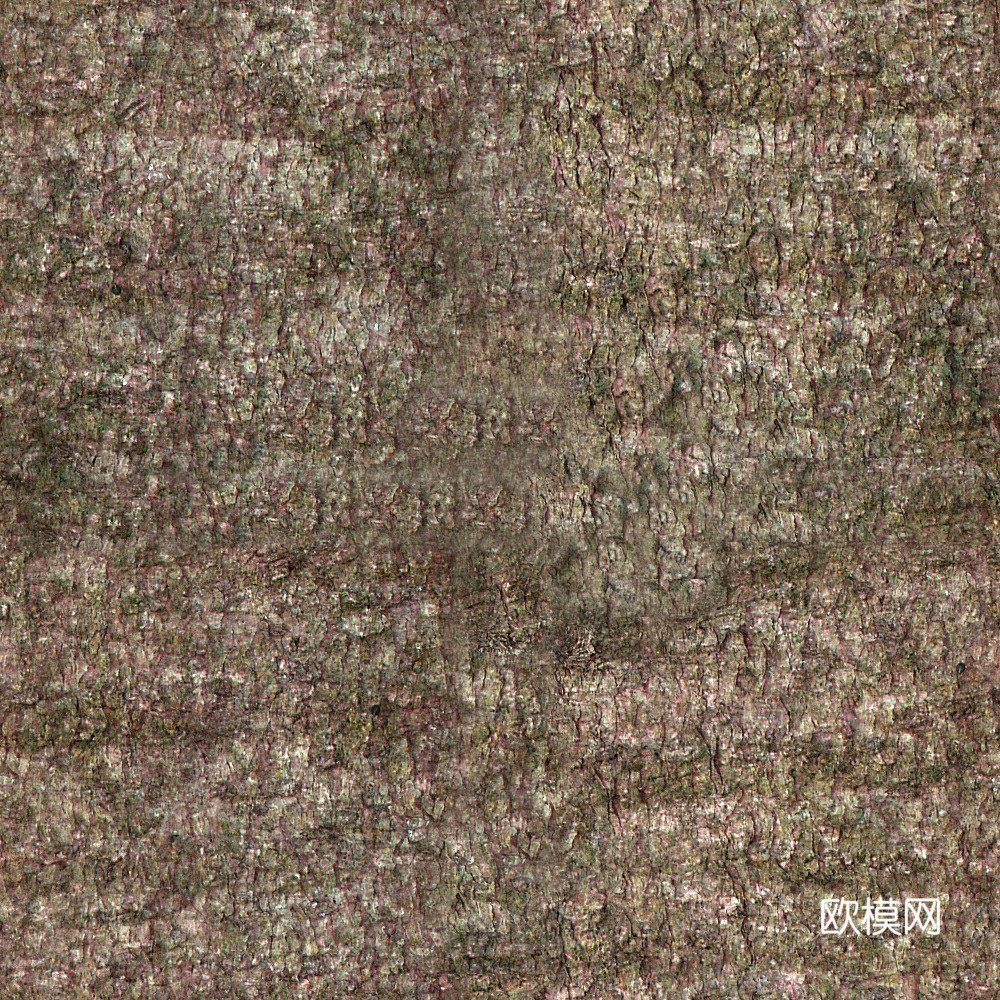 树干 旧木 树皮下载