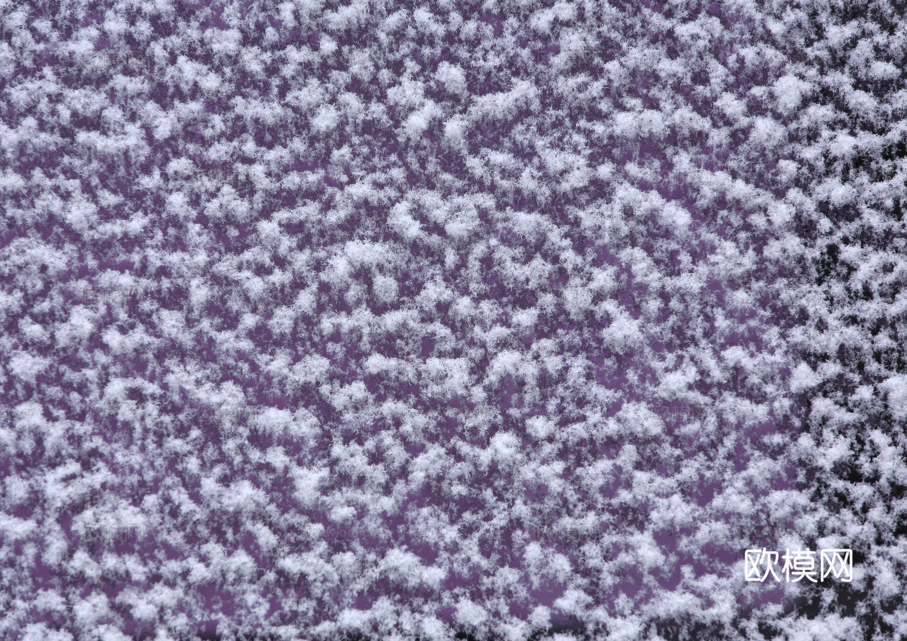 雪地地面 雪地