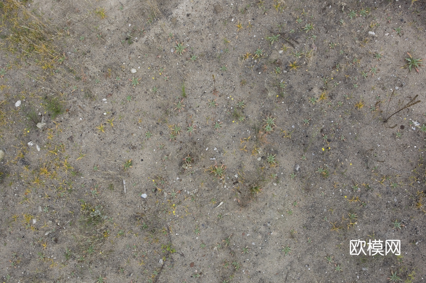 沙土地面  地面下载
