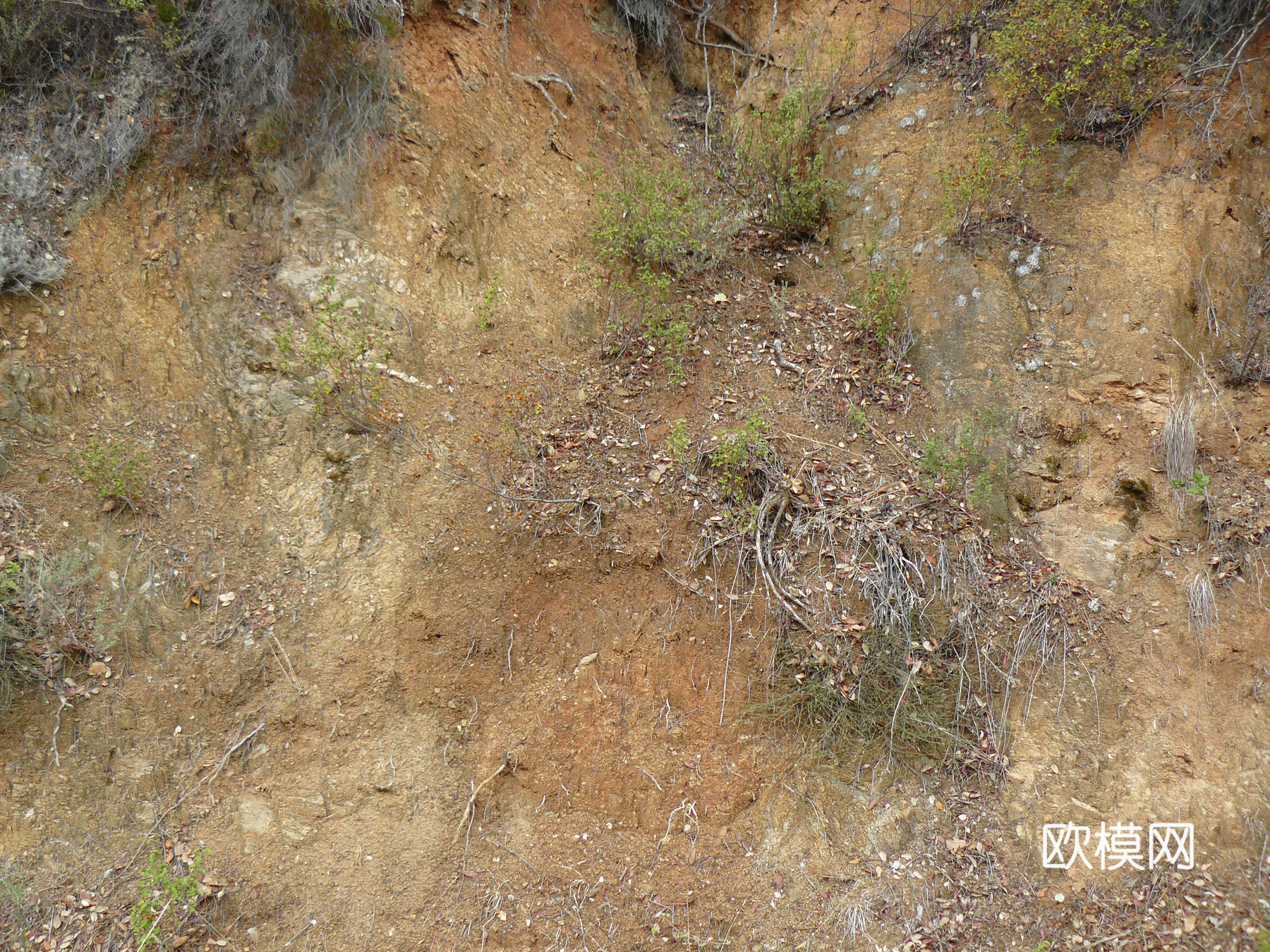 沙土地面  地面下载