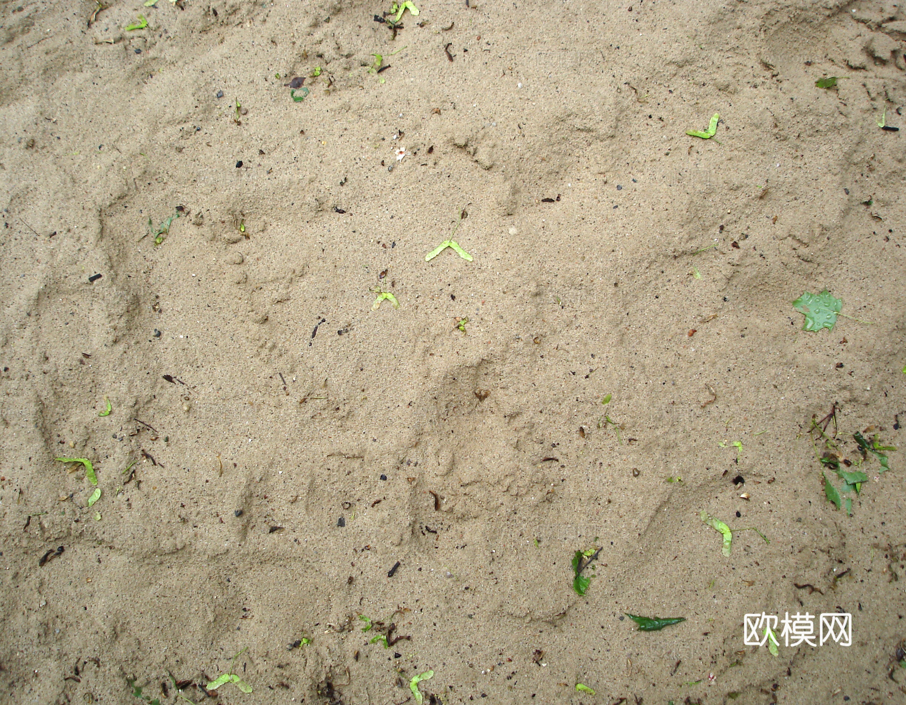 沙土地面  地面下载