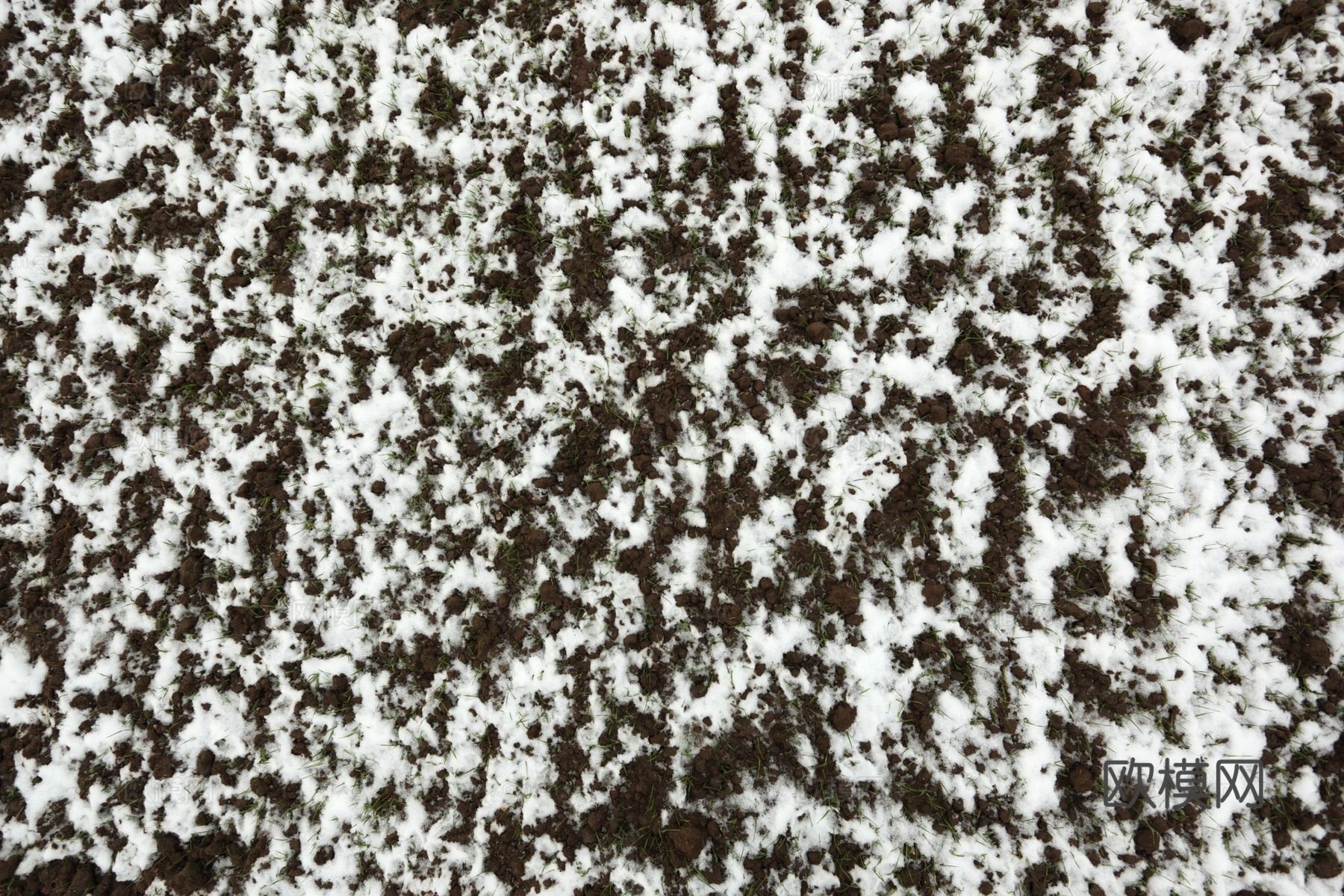 雪地地面 雪地