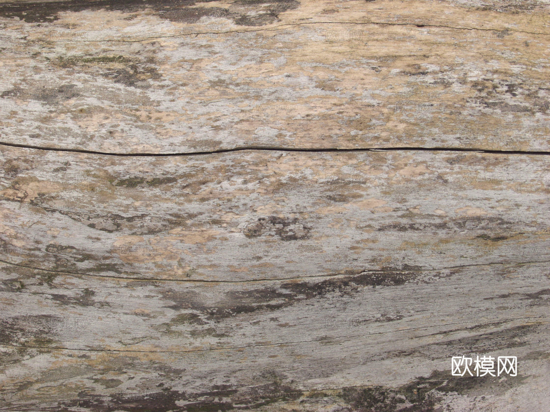 树干 旧木 树皮下载