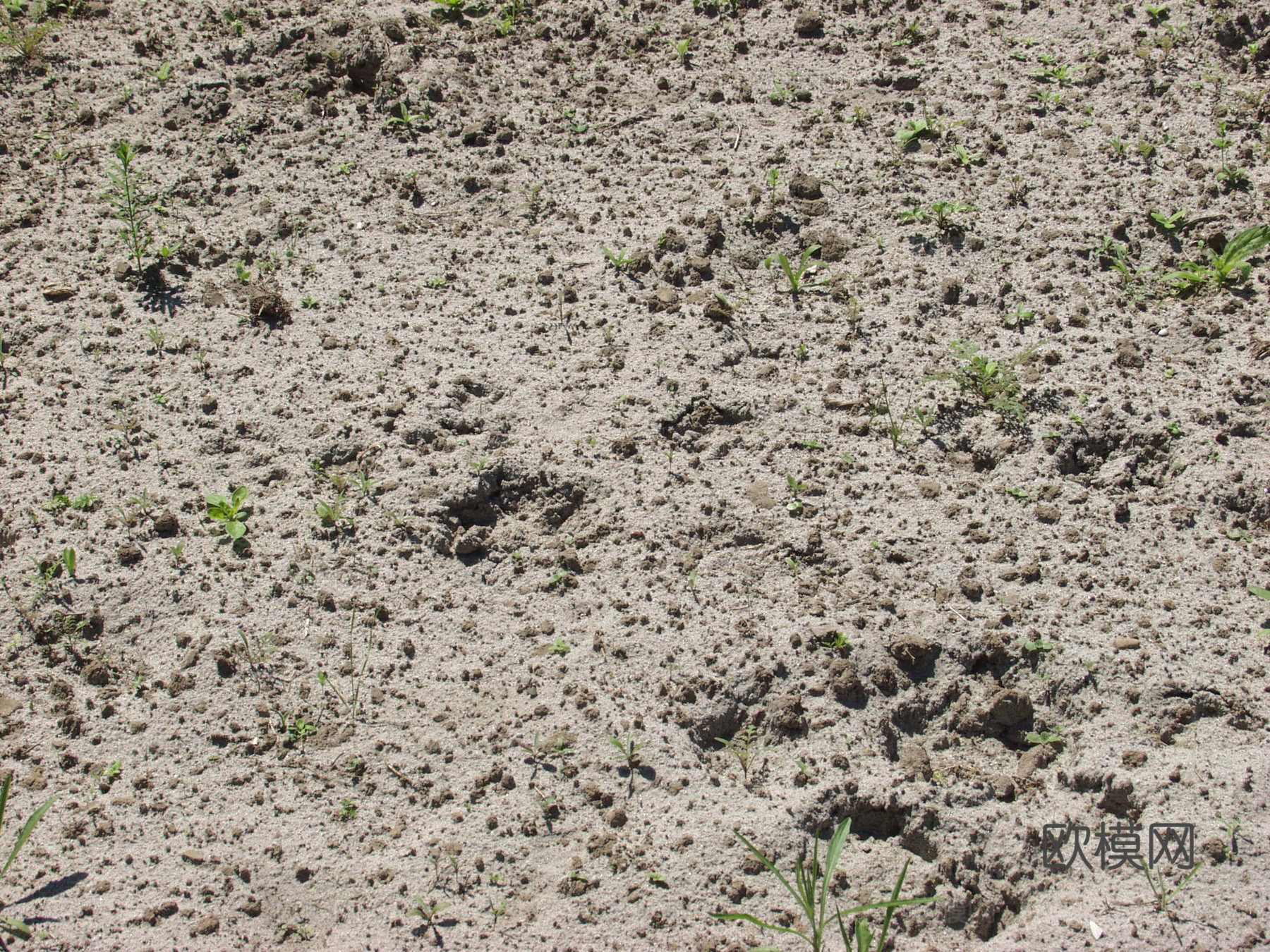 沙土地面  地面下载
