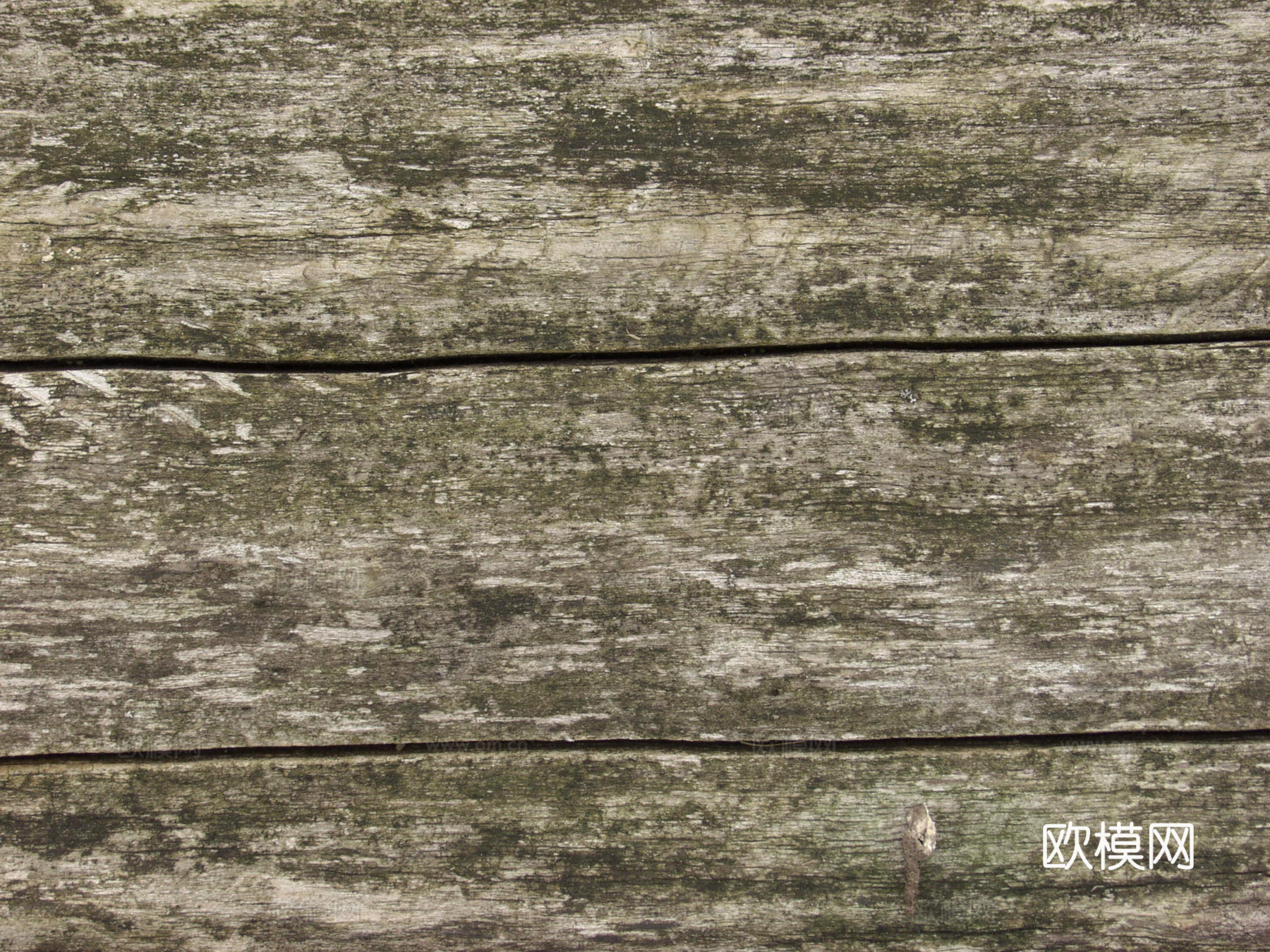 树干 旧木 树皮下载