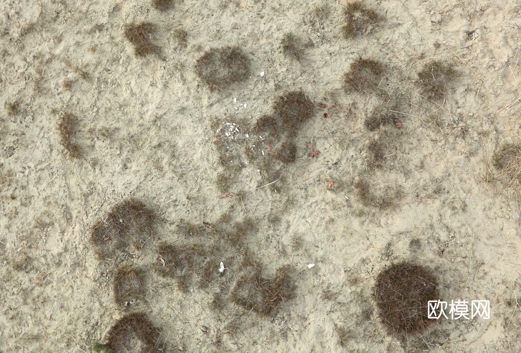 沙土地面  地面下载