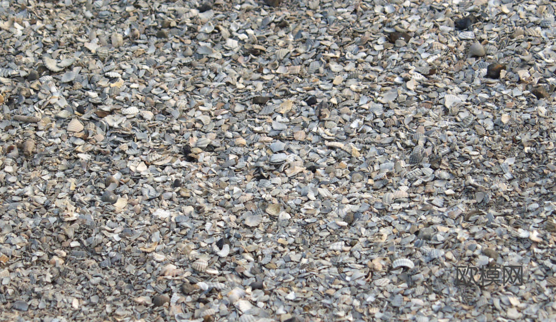 其它
