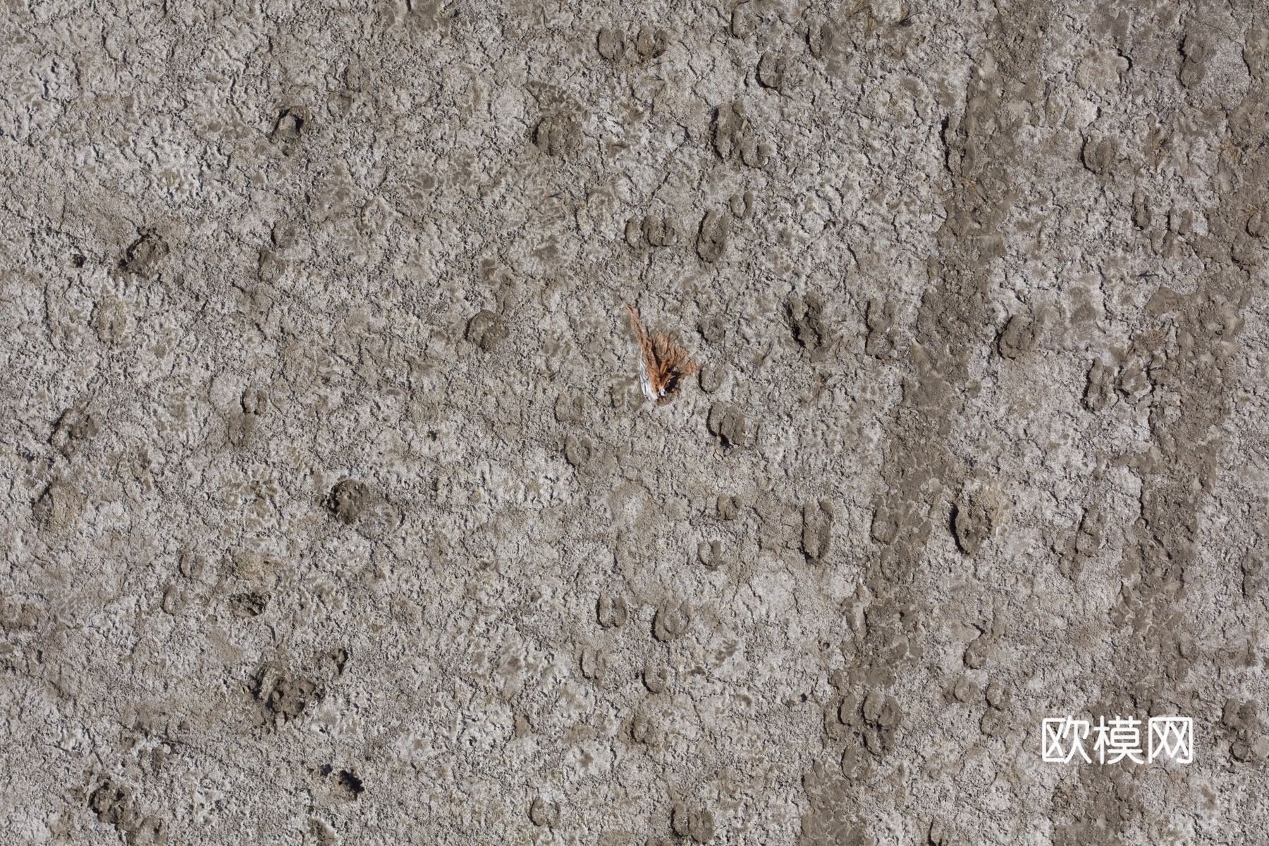 沙土地面  地面下载