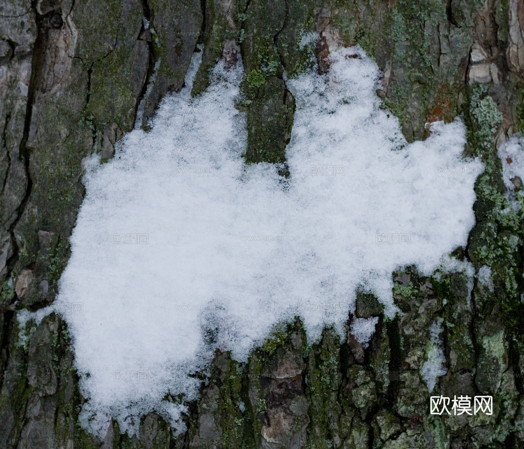 雪地地面 雪地下载