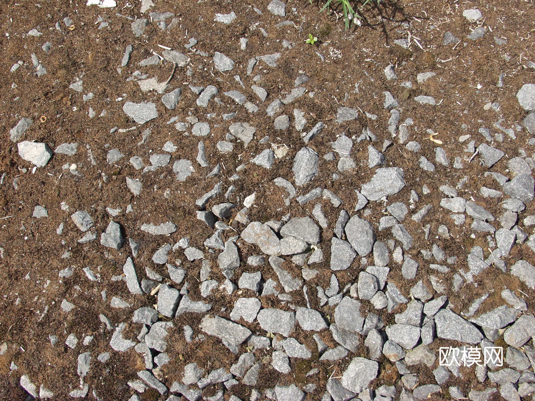 碎石  碎石头下载