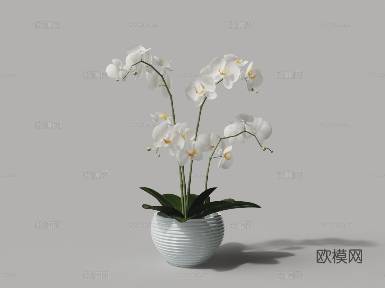 盆栽花艺花瓶花卉白百合3d模型