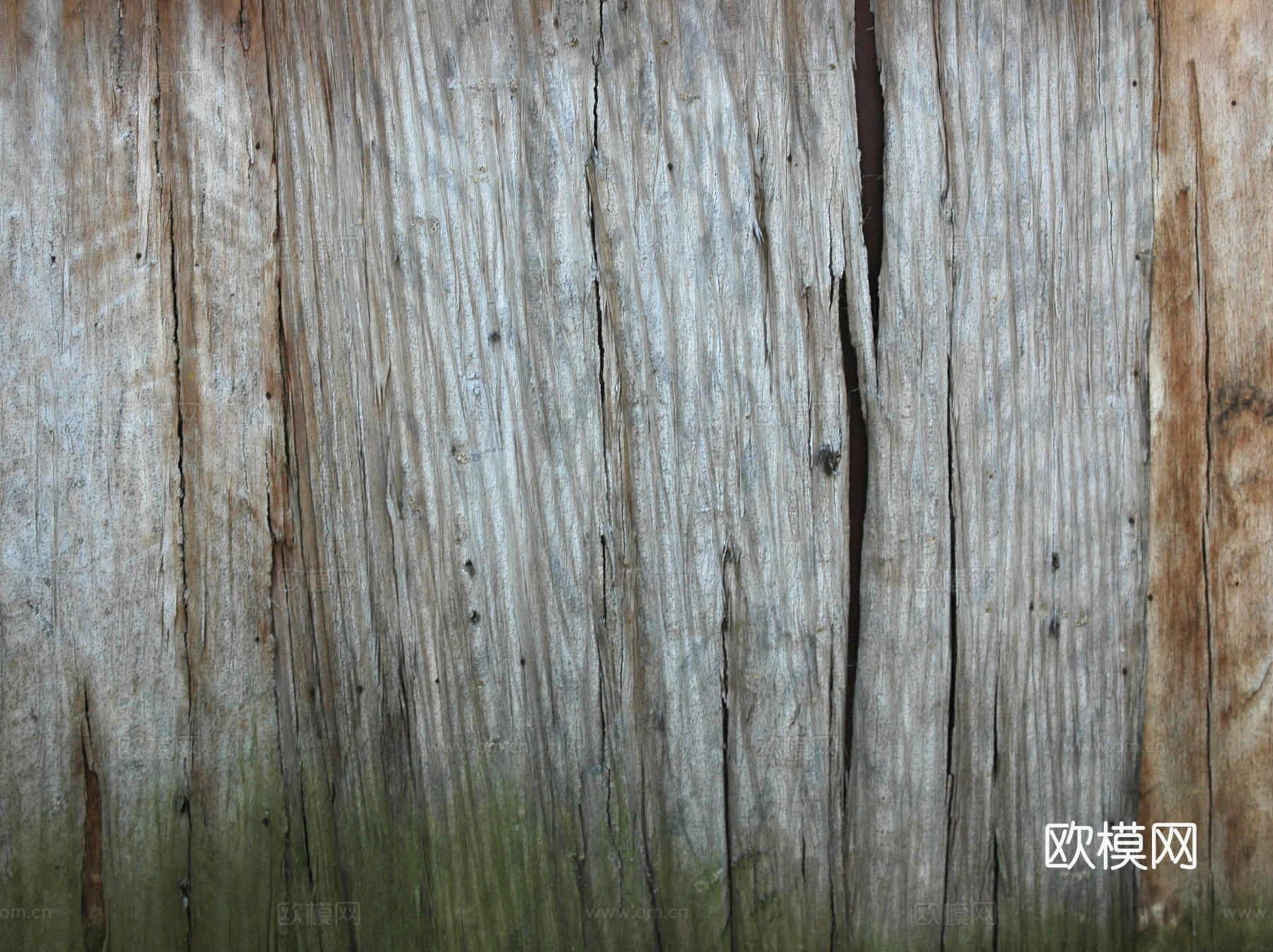 树干 旧木 树皮下载