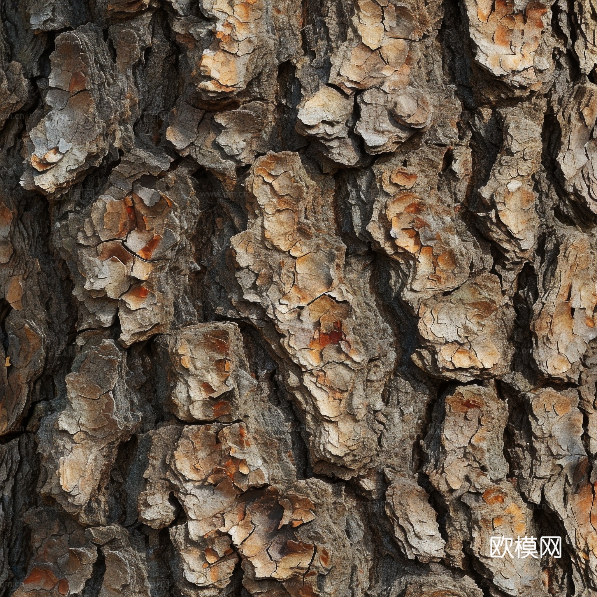 木制纹理木材下载（渲染图3）