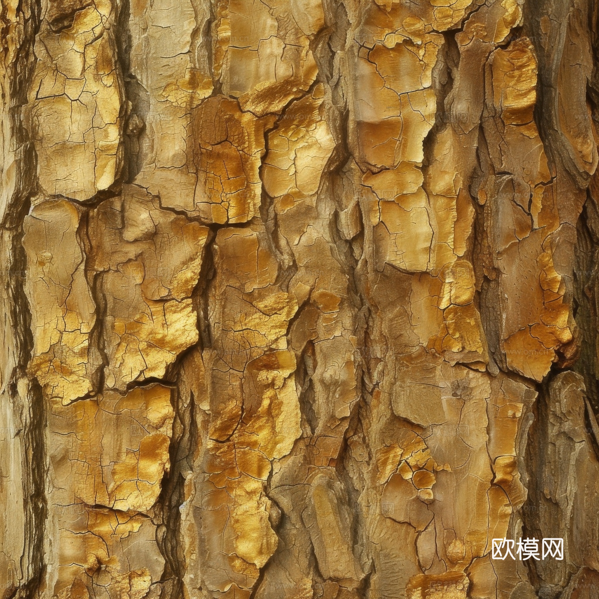 木制纹理木材下载（渲染图8）