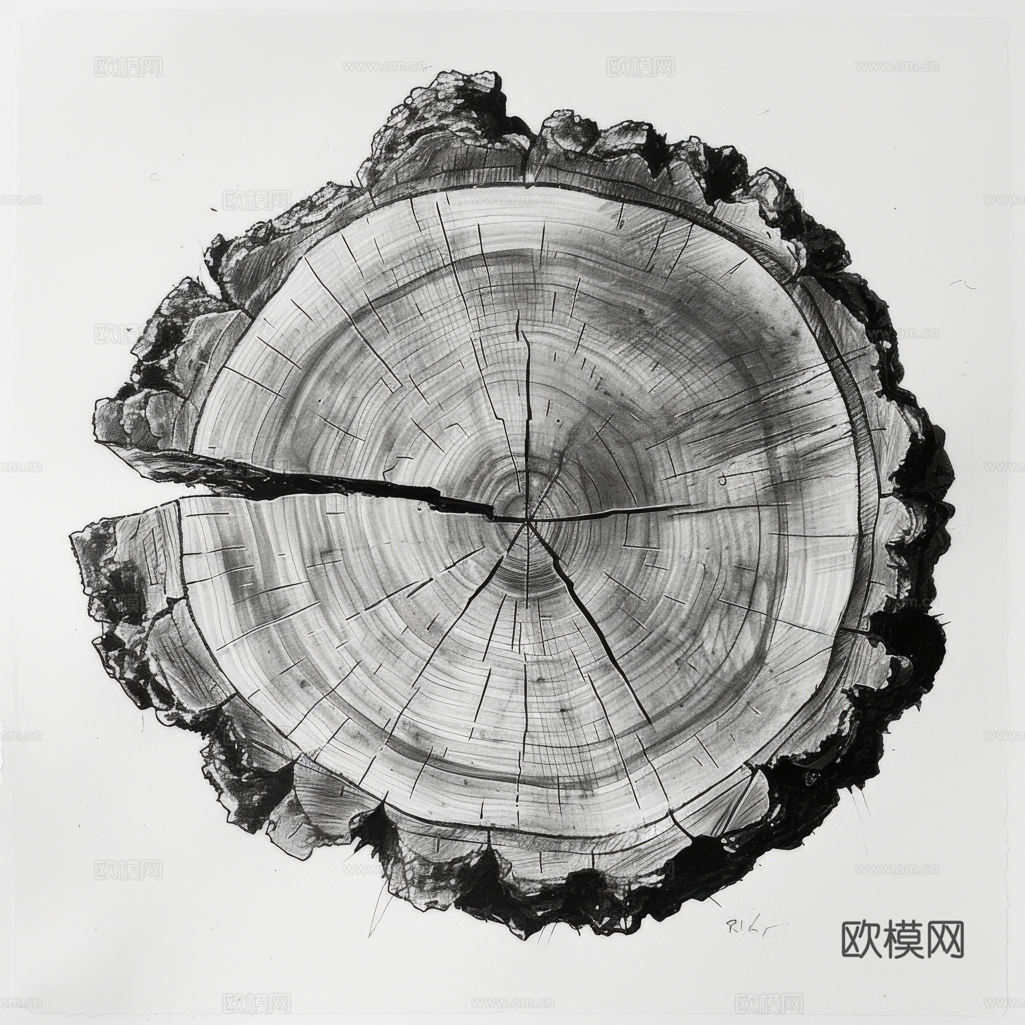 木制纹理木材下载（渲染图7）