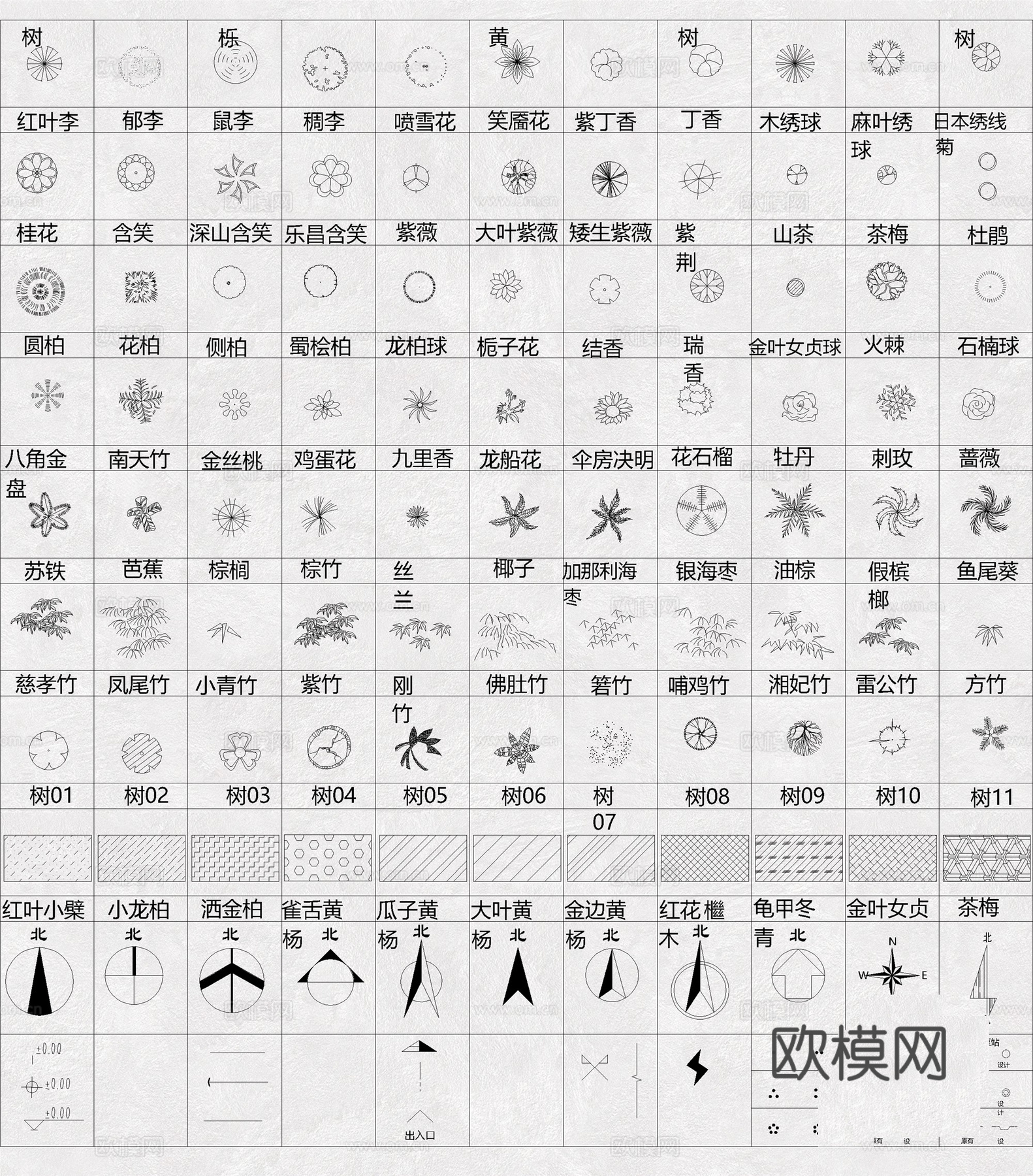 植物图例 苗木表 植物 绿植 树木cad施工图
