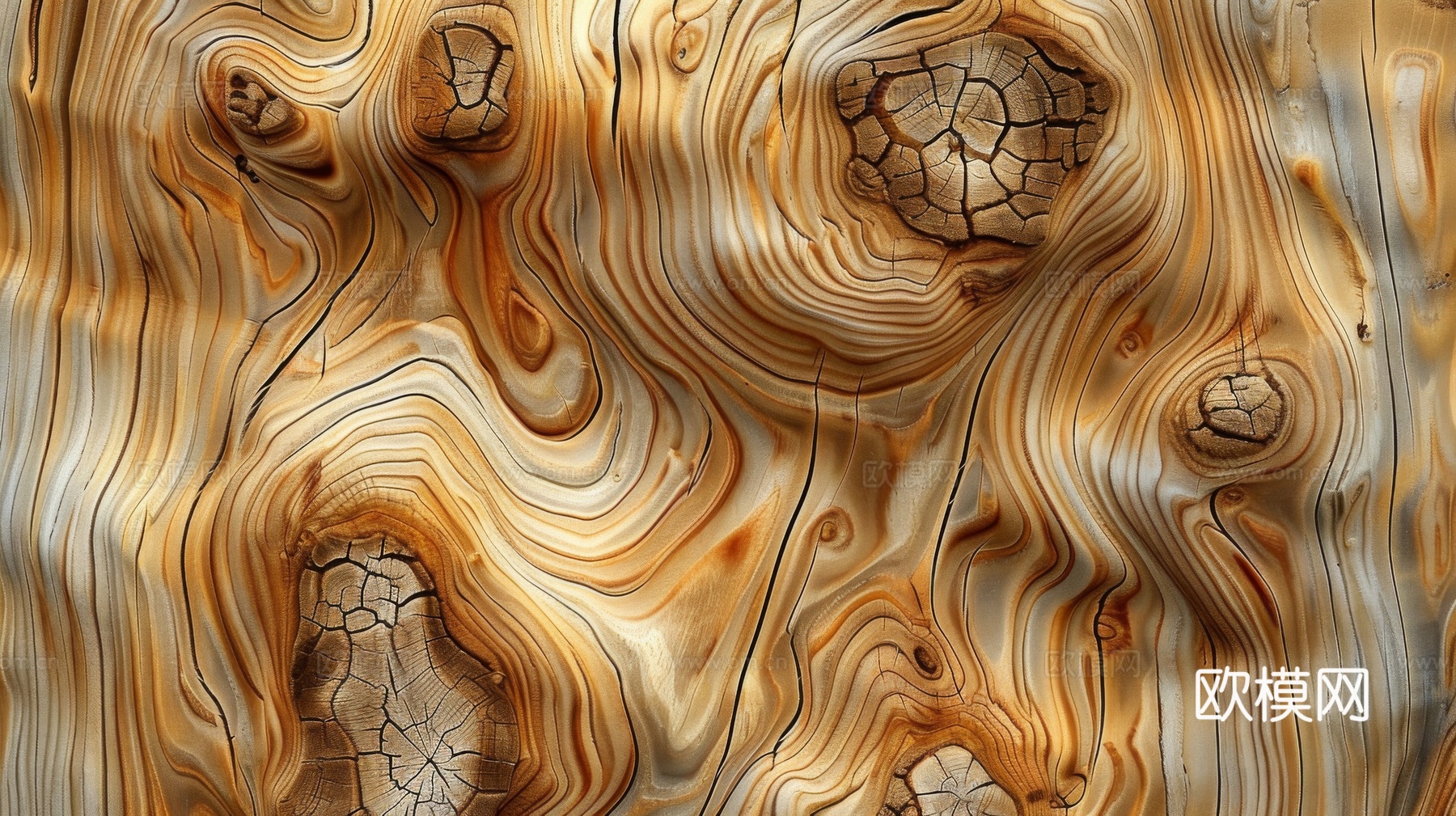 木制纹理木材下载（渲染图6）