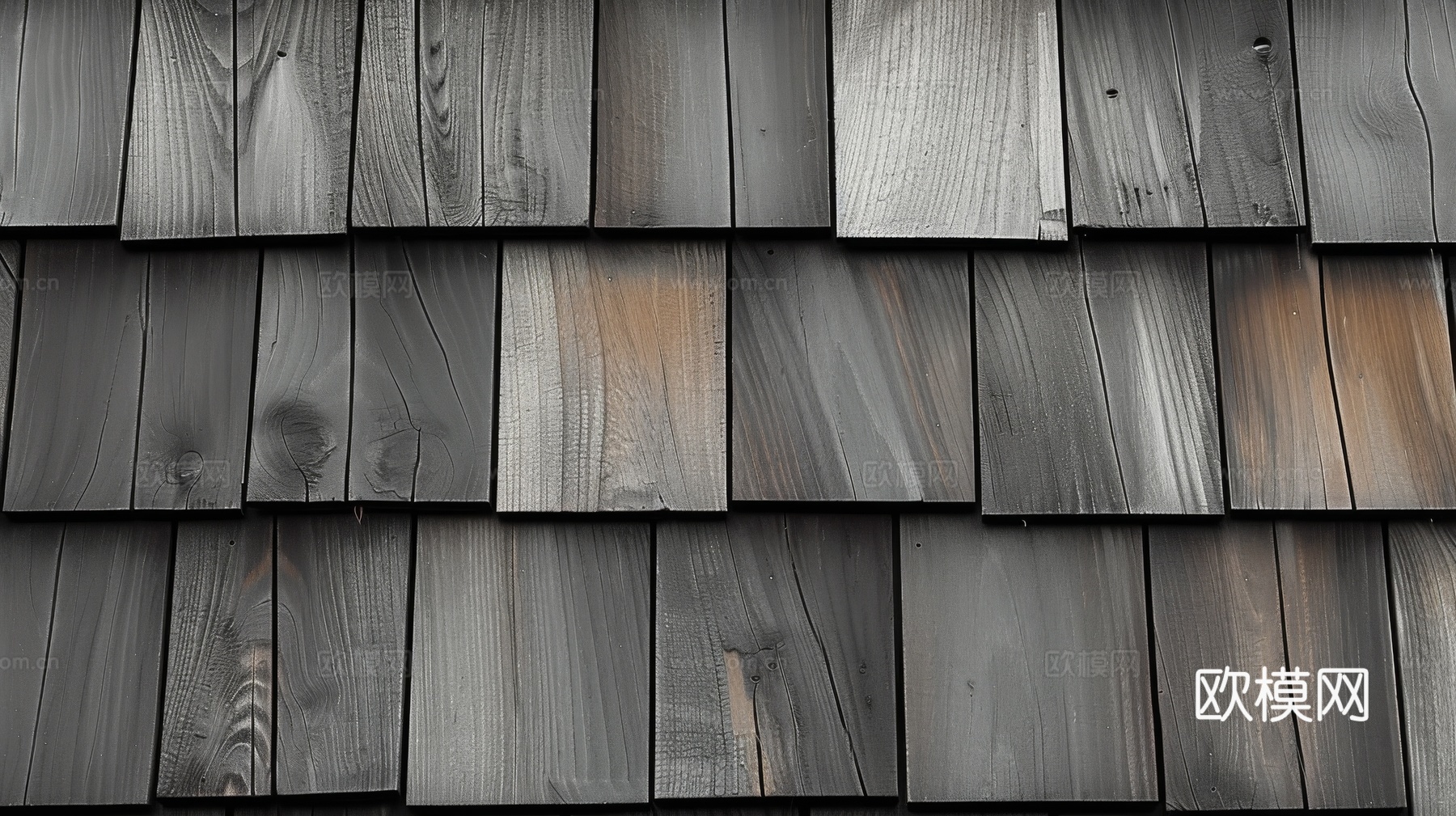 木制纹理木材下载（渲染图5）