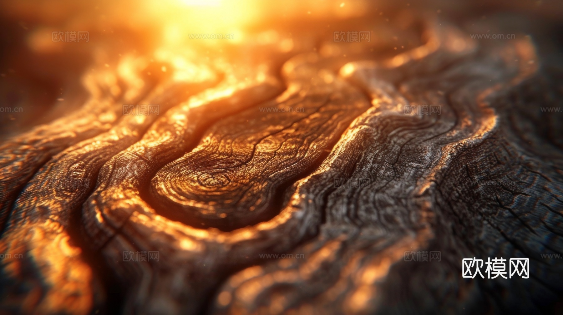 木制纹理木材下载（渲染图3）