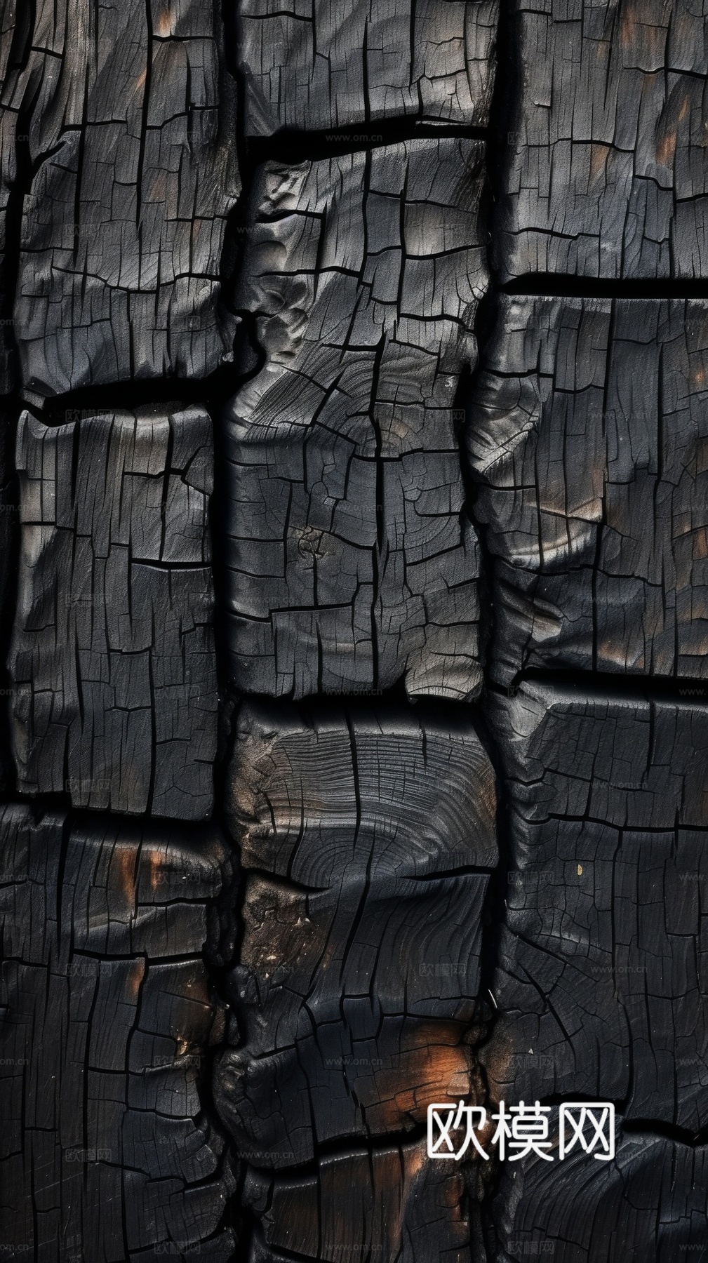 木制纹理木材下载（渲染图5）