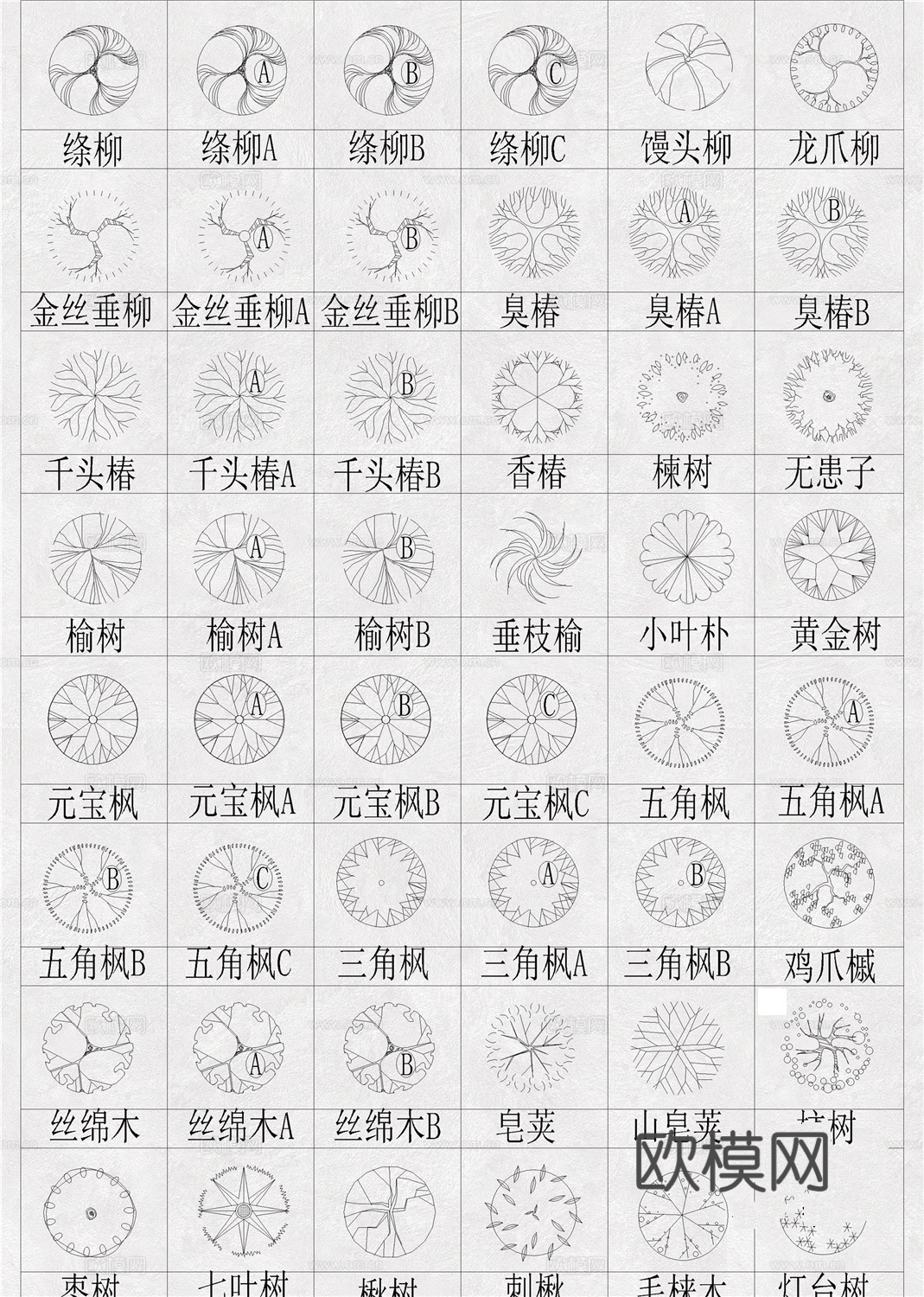 植物图例 苗木表 植物 绿植 树木cad施工图