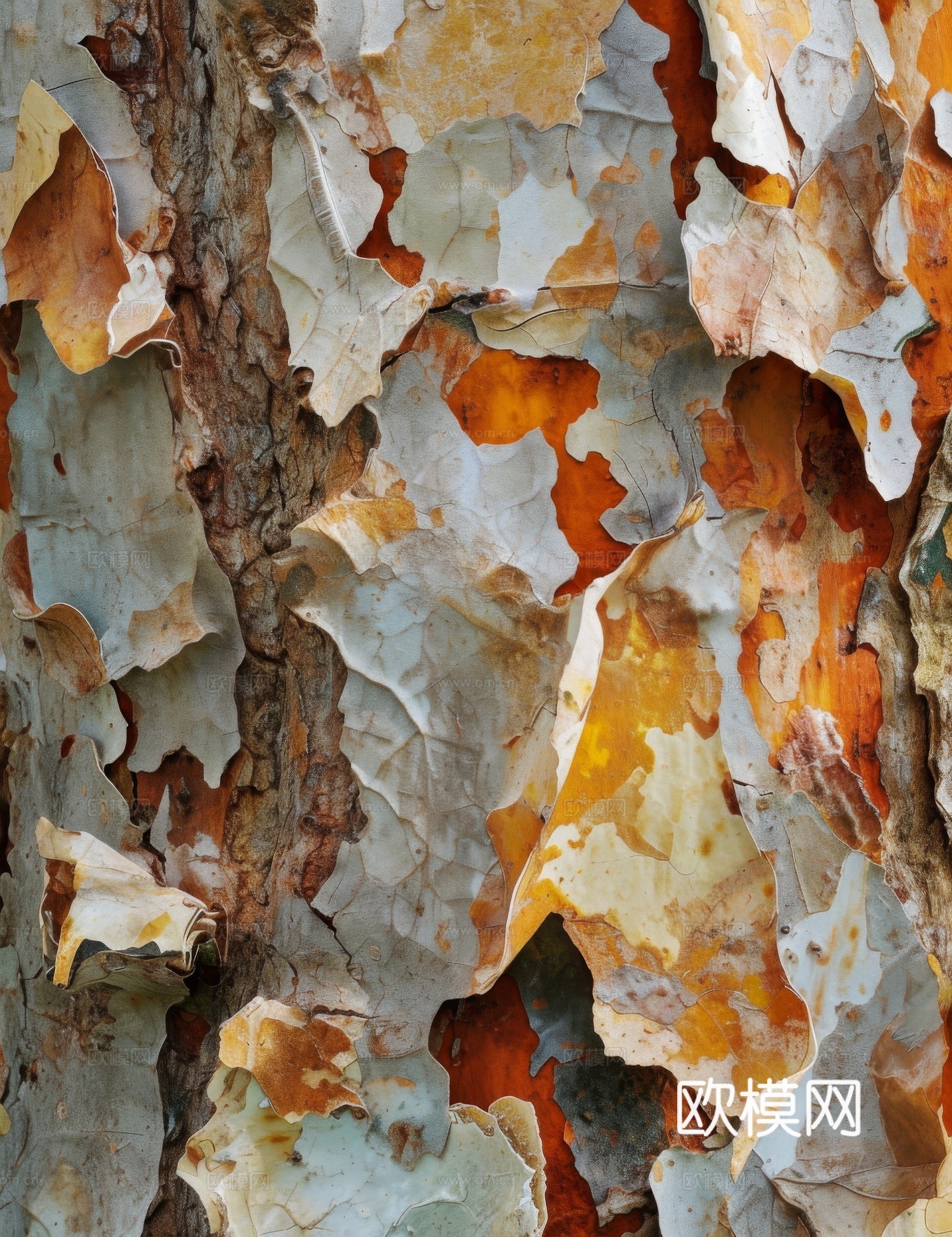 木制纹理木材下载（渲染图8）