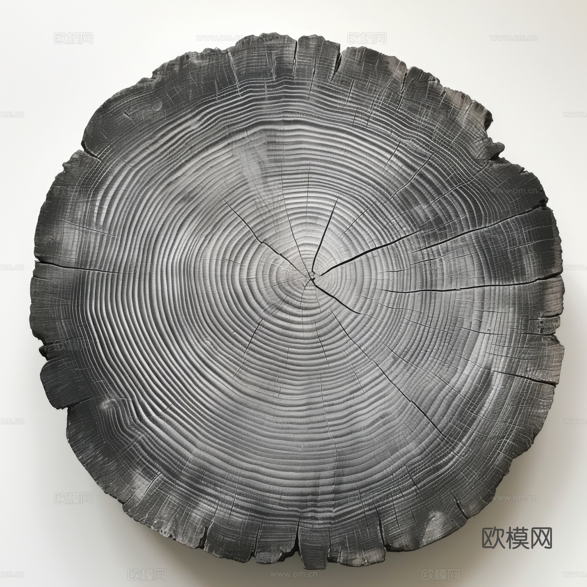 木制纹理木材下载（渲染图4）