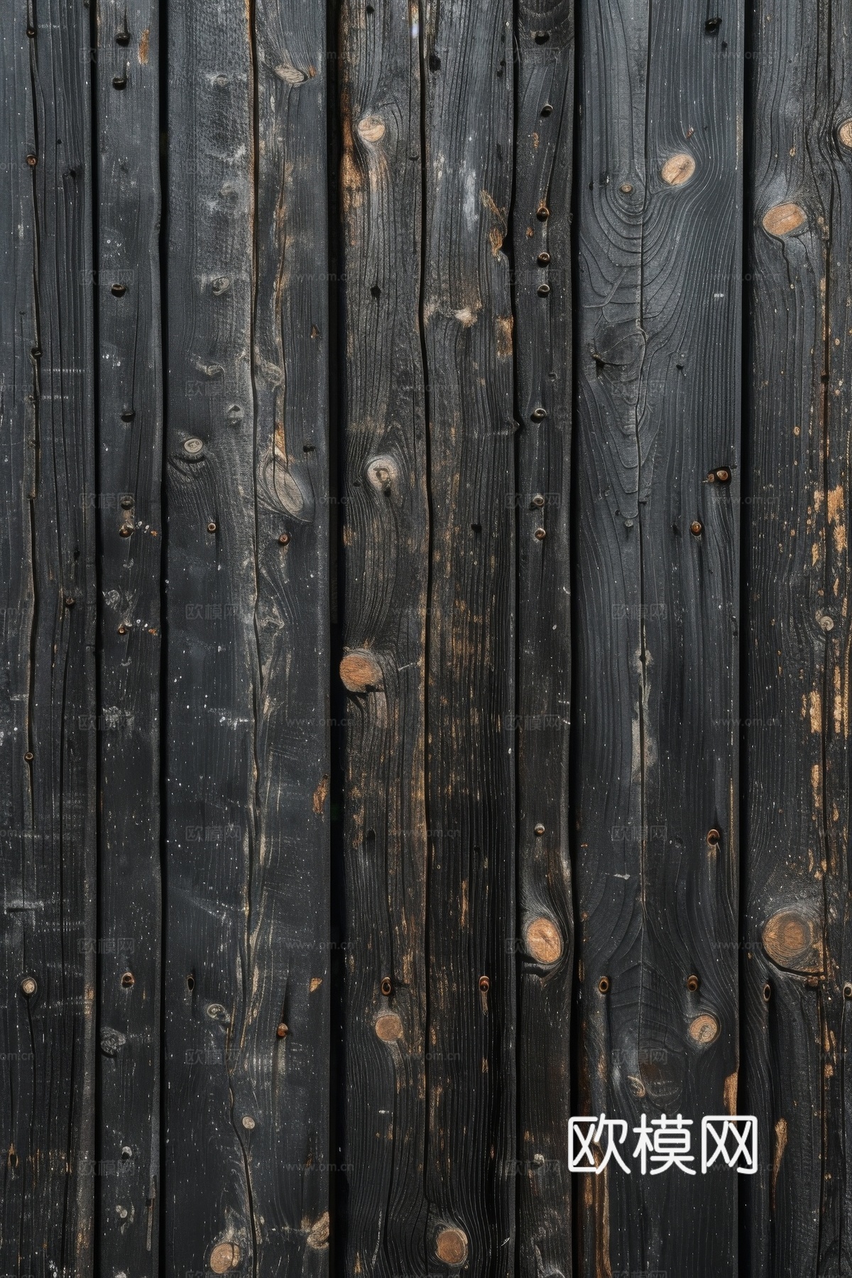 木制纹理木材下载（渲染图5）