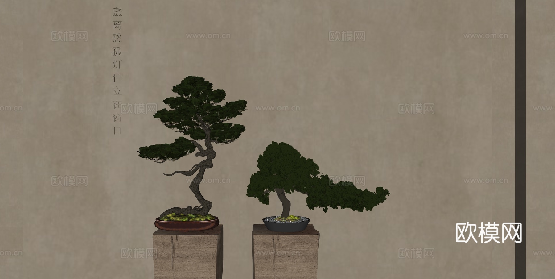 新中式盆栽 迎客松 绿植su模型