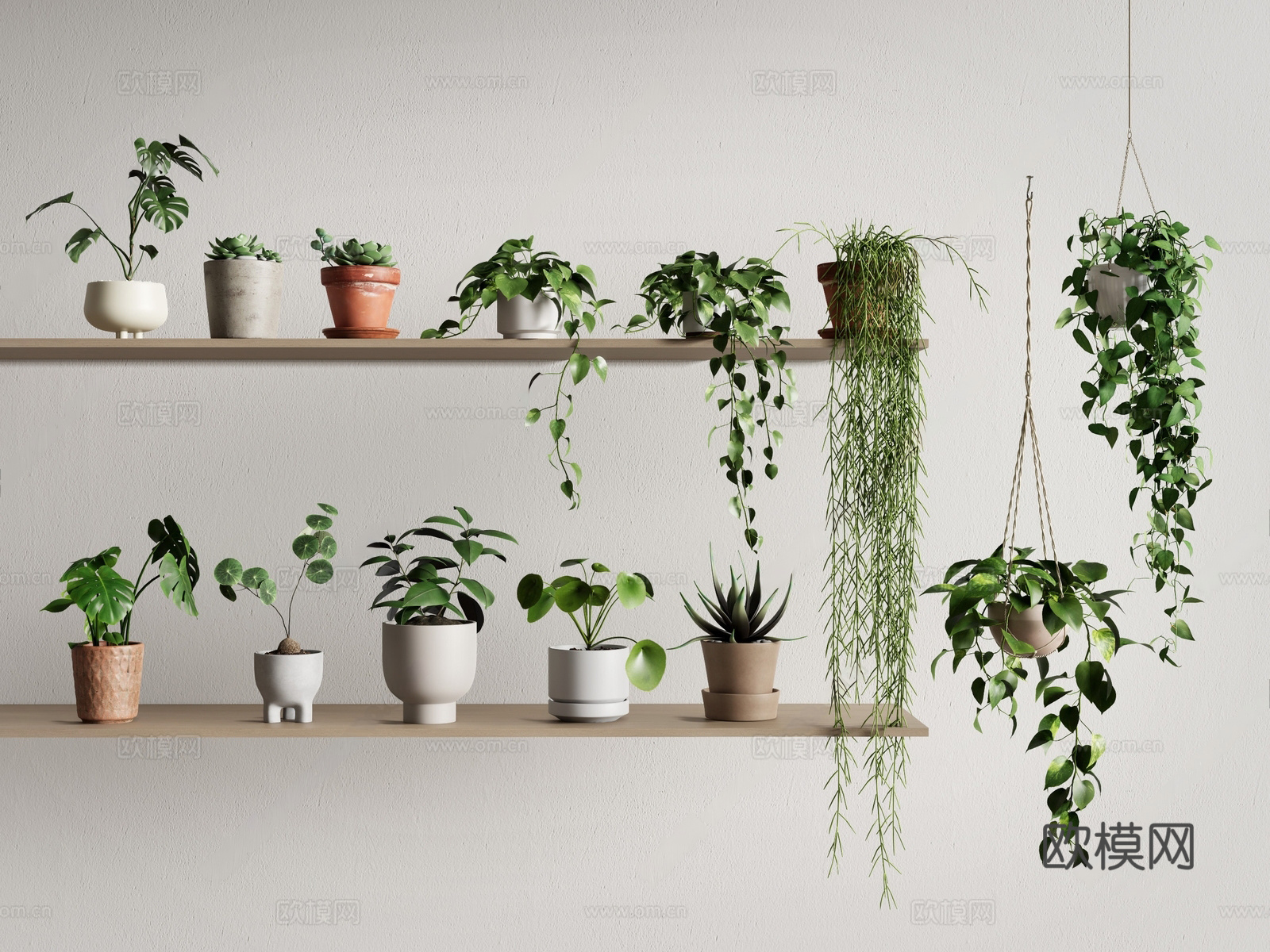 现代盆栽 植物盆栽 小盆栽 吊兰 多肉 绿萝3d模型