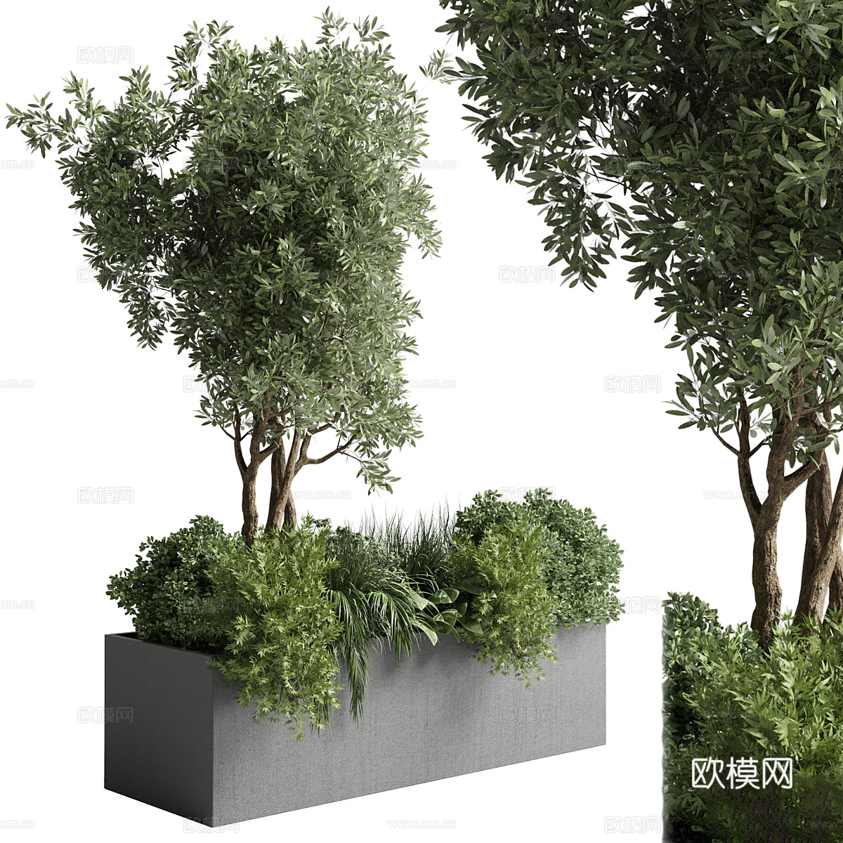 现代花坛 植物箱3d模型