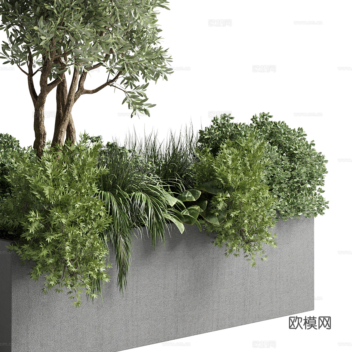 现代花坛 植物箱3d模型