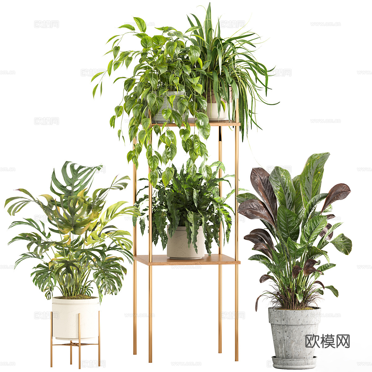 花瓶花卉3d模型