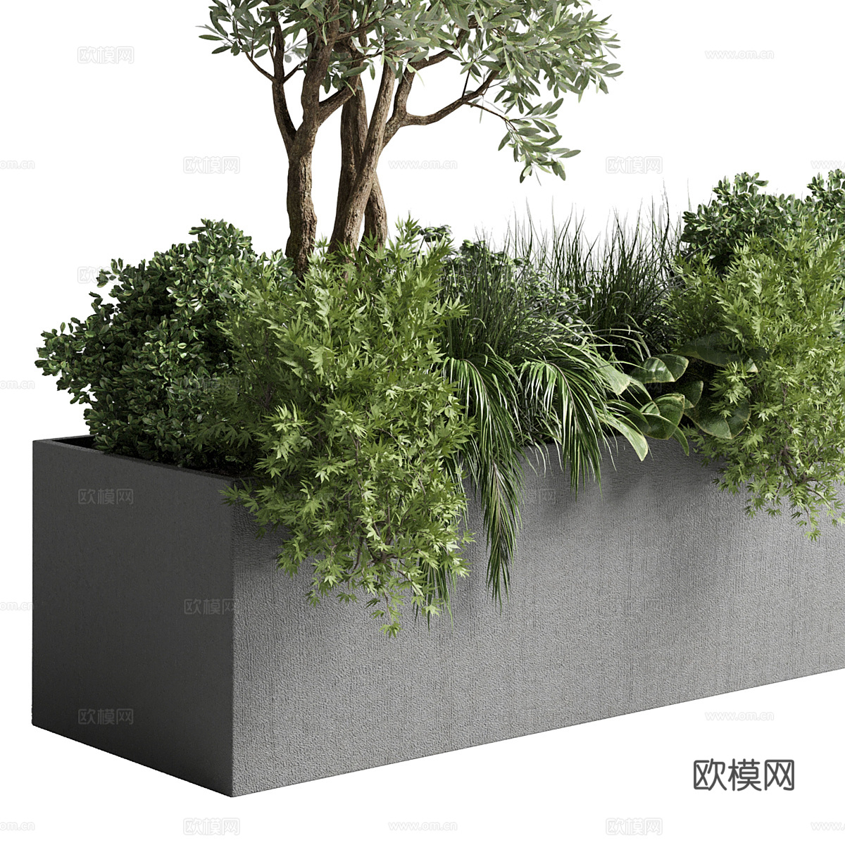 现代花坛 植物箱3d模型