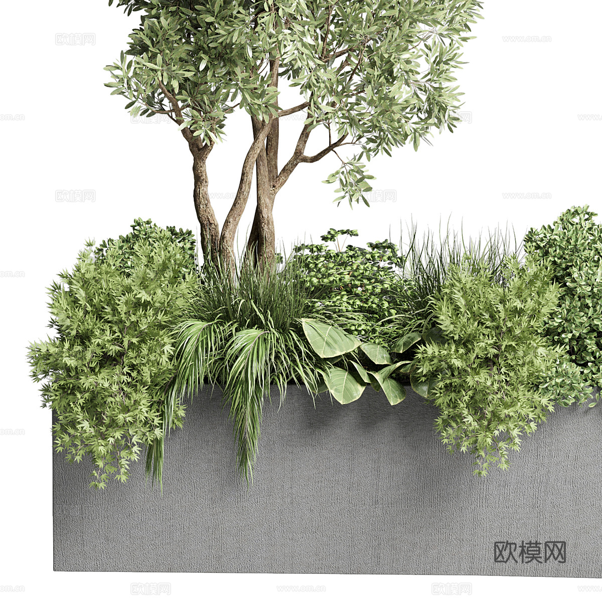 现代花坛 植物箱3d模型