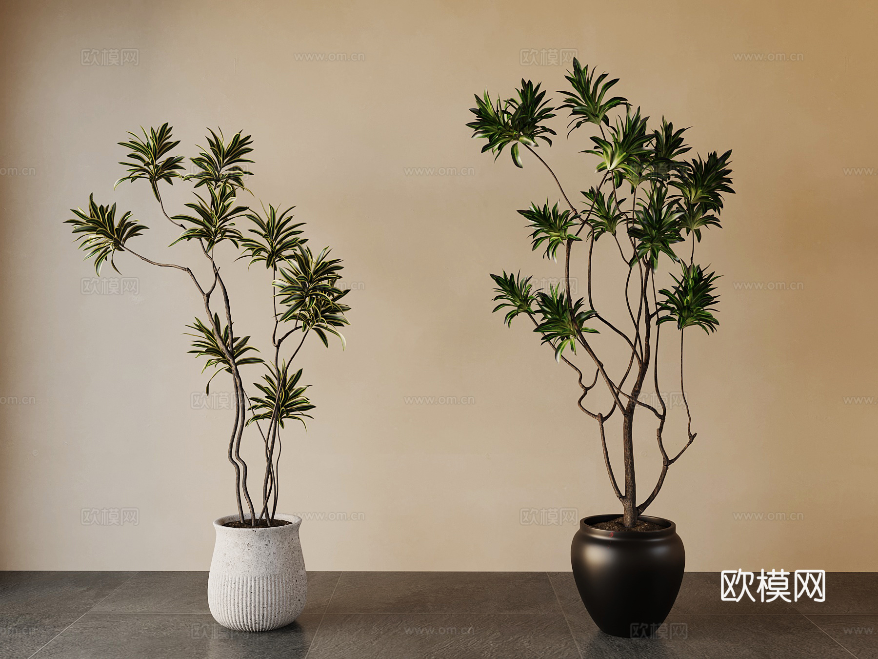 中古风绿植盆栽3d模型