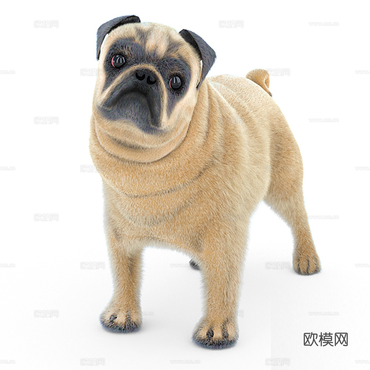 哈巴狗3d模型