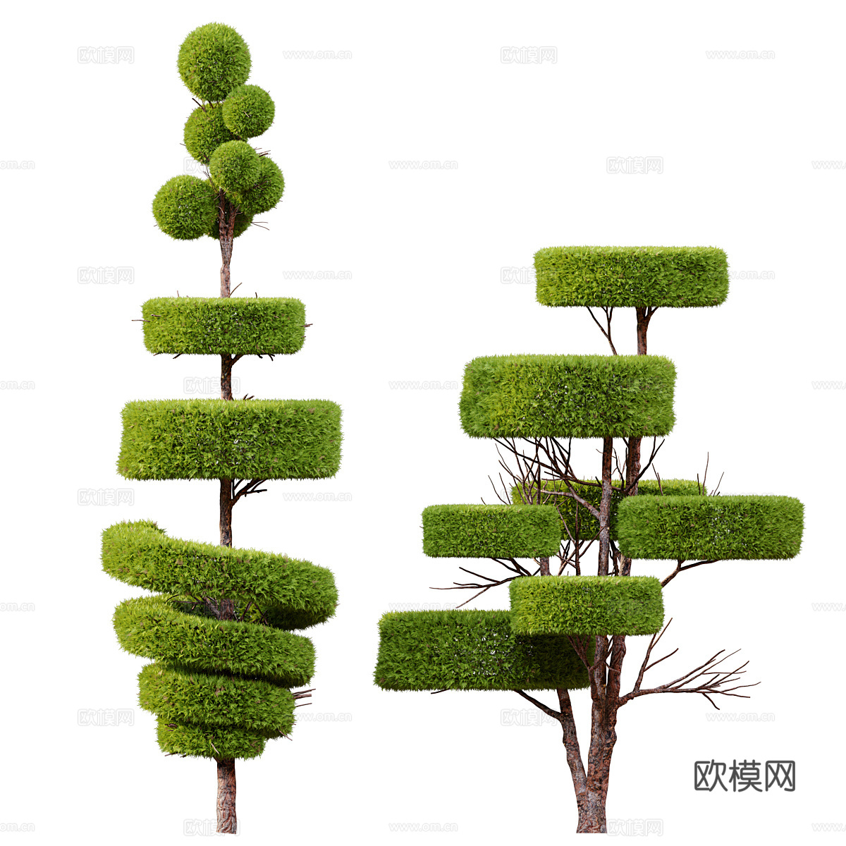 灌木 树木 植物 乔木3d模型