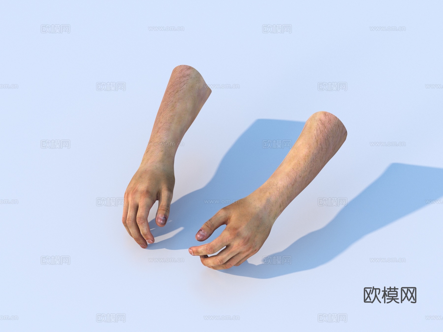 手 手掌 手势3d模型
