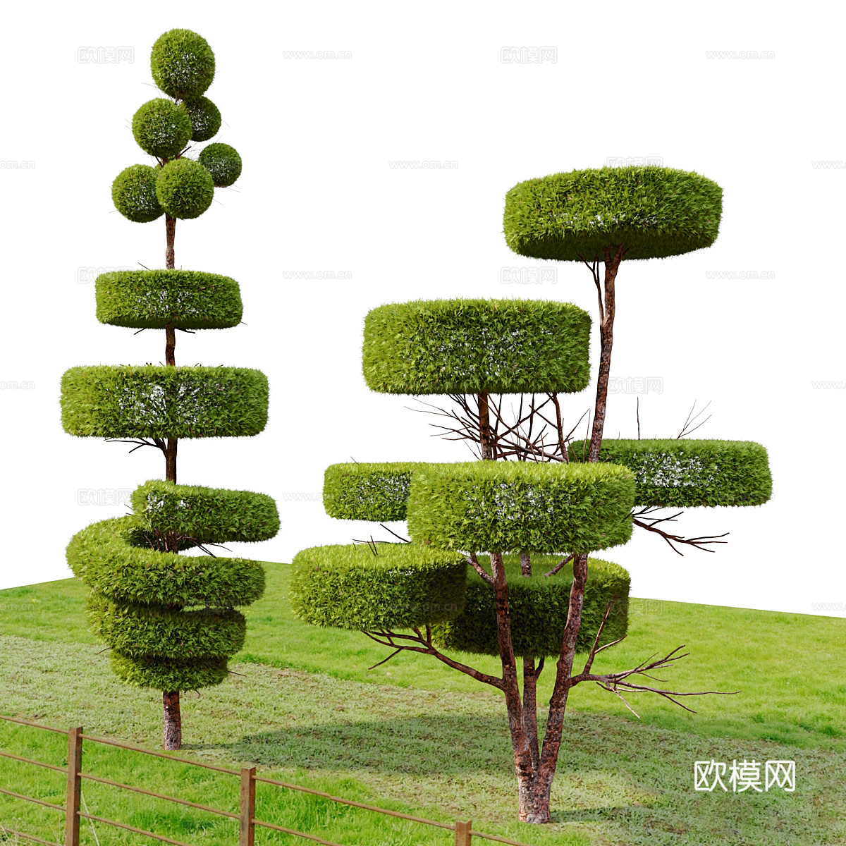 灌木 树木 植物 乔木3d模型