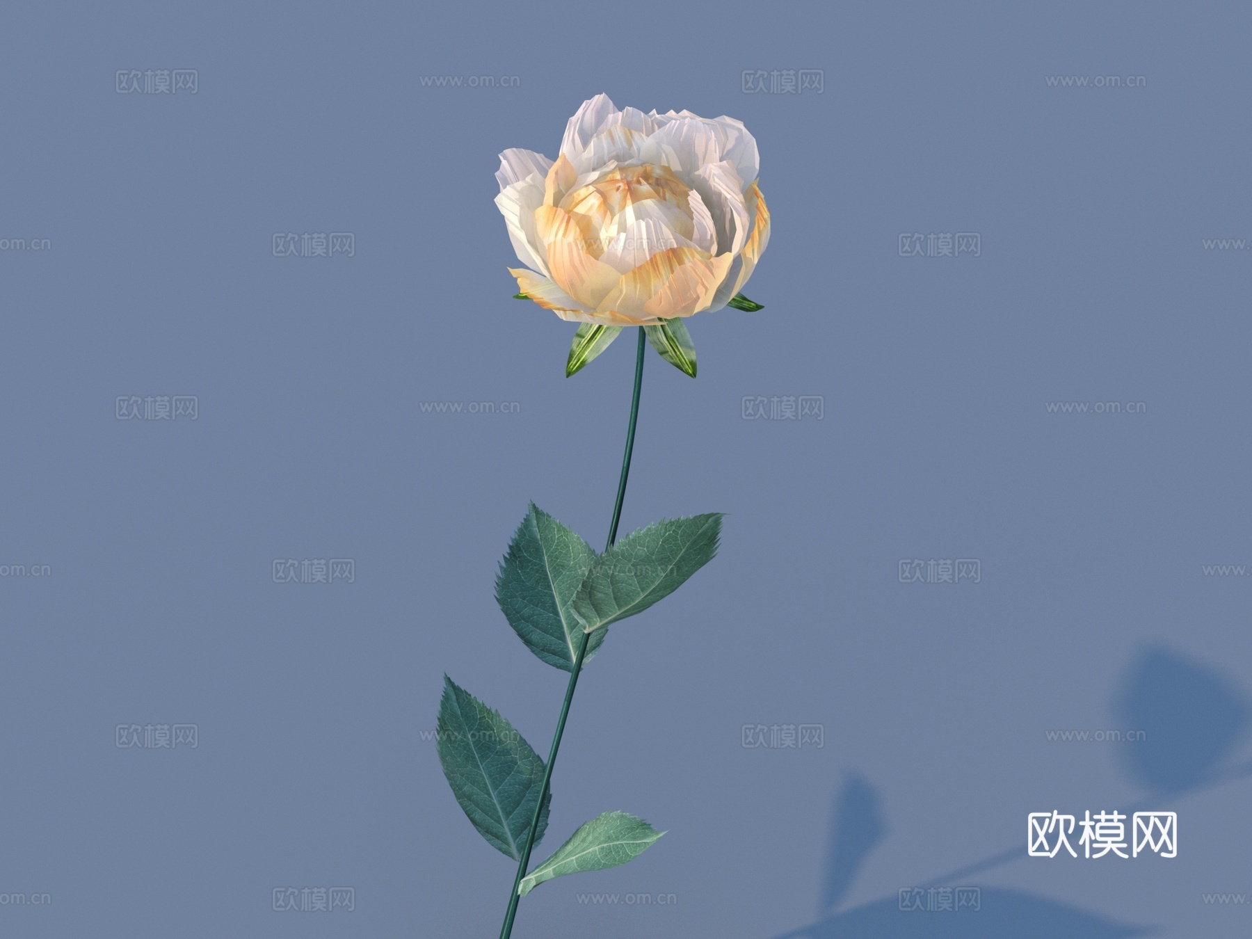花 野花 绿植 花朵3d模型