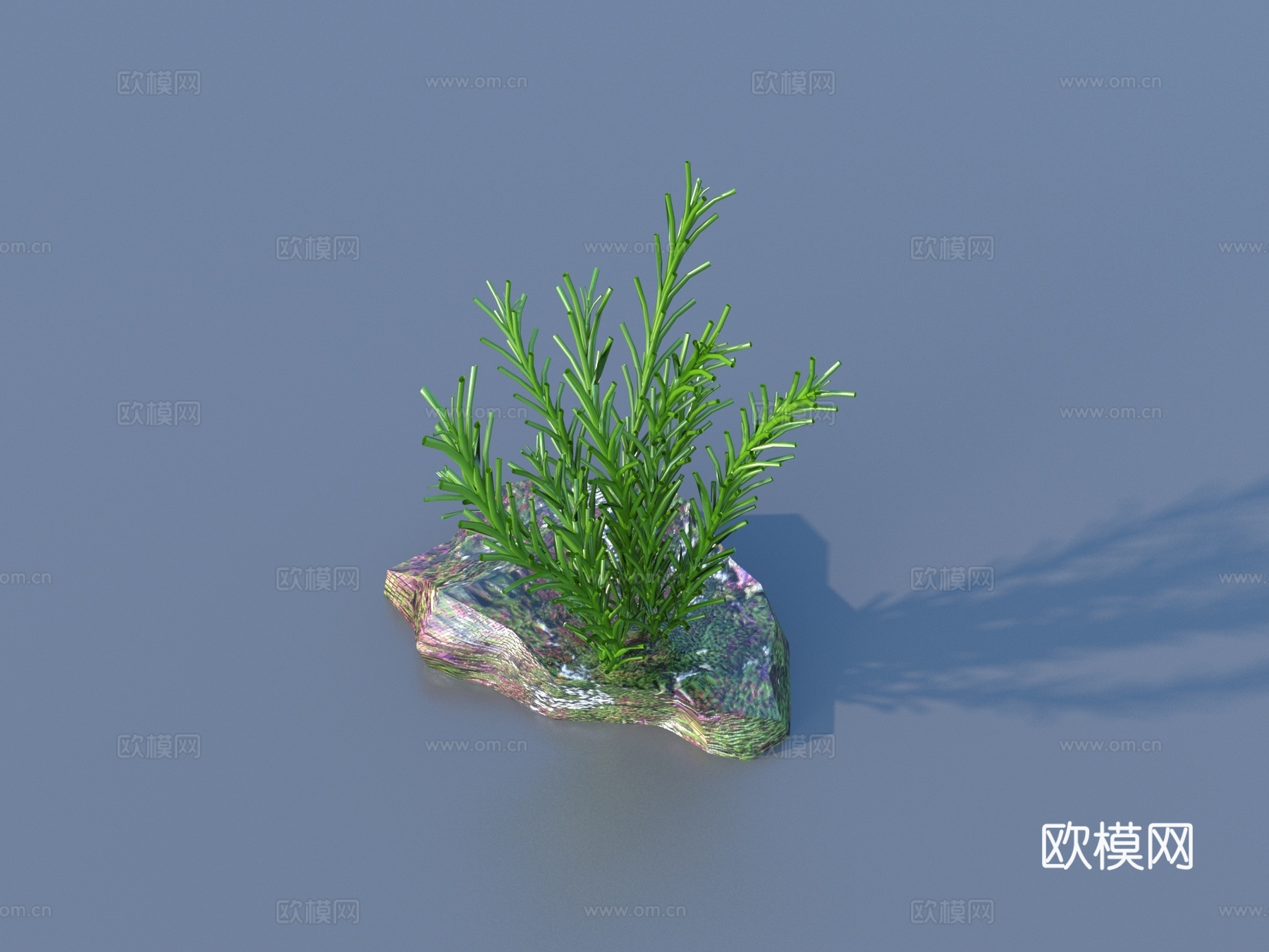 水草 水底植物 海藻 植物 草3d模型