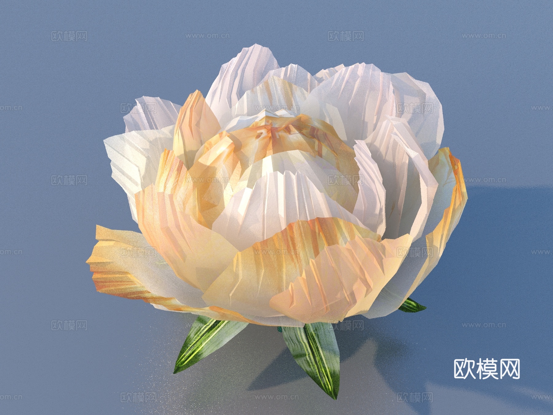 花 野花 绿植 花朵3d模型