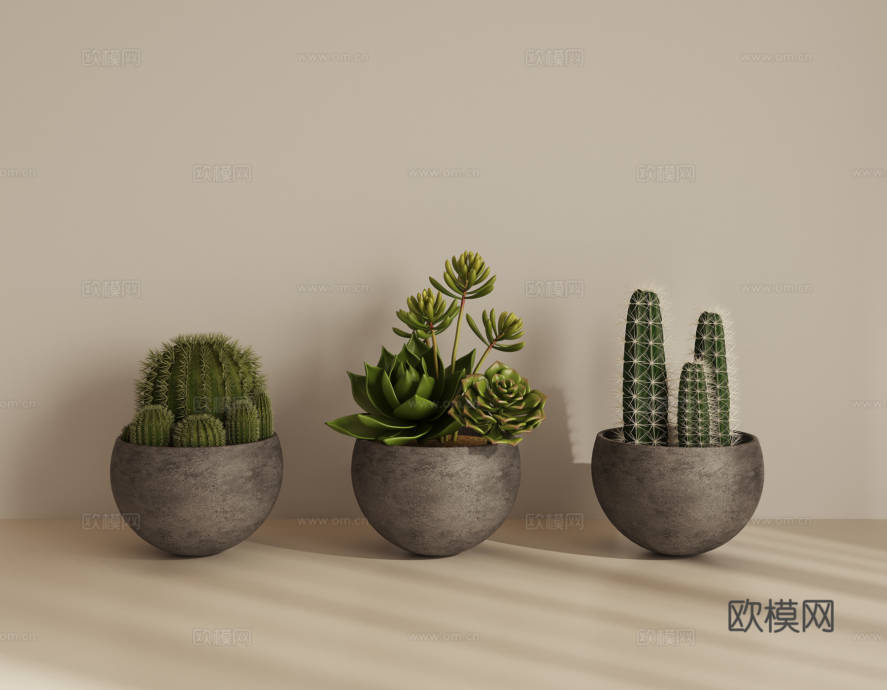 盆栽多肉绿植su模型