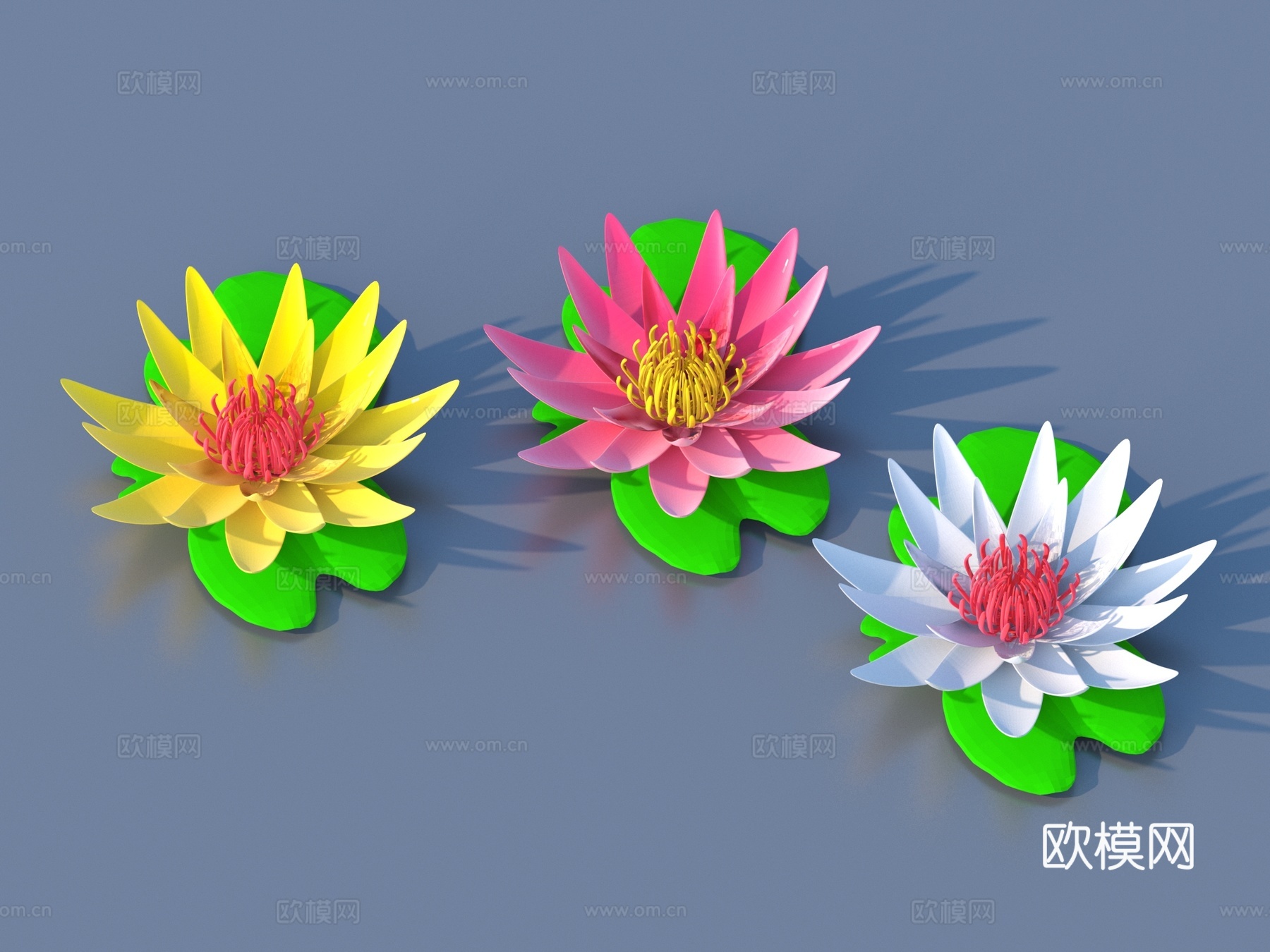 花 卡通花 野花 绿植 花朵3d模型