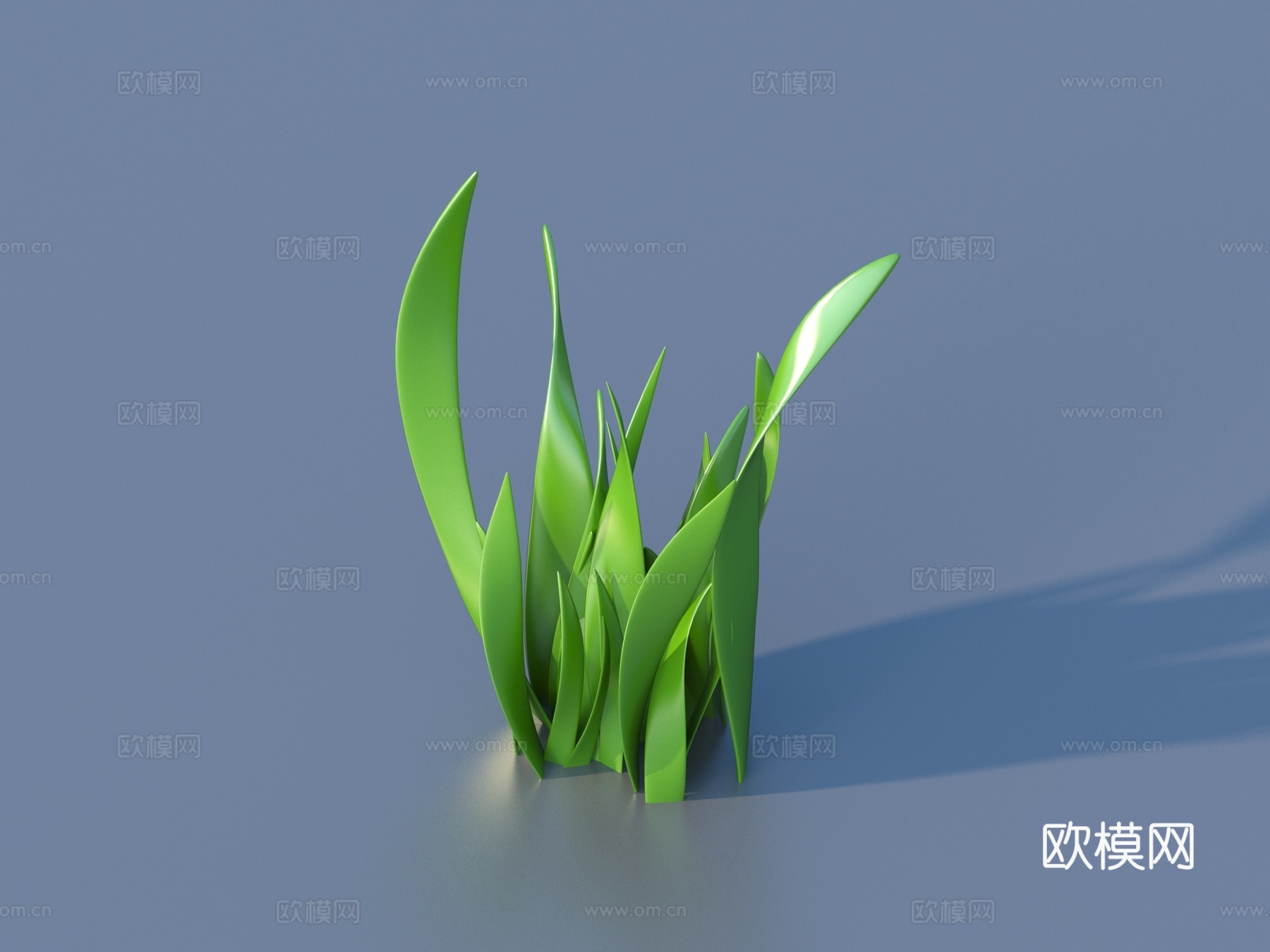 水草 水底植物 海藻 植物 草3d模型