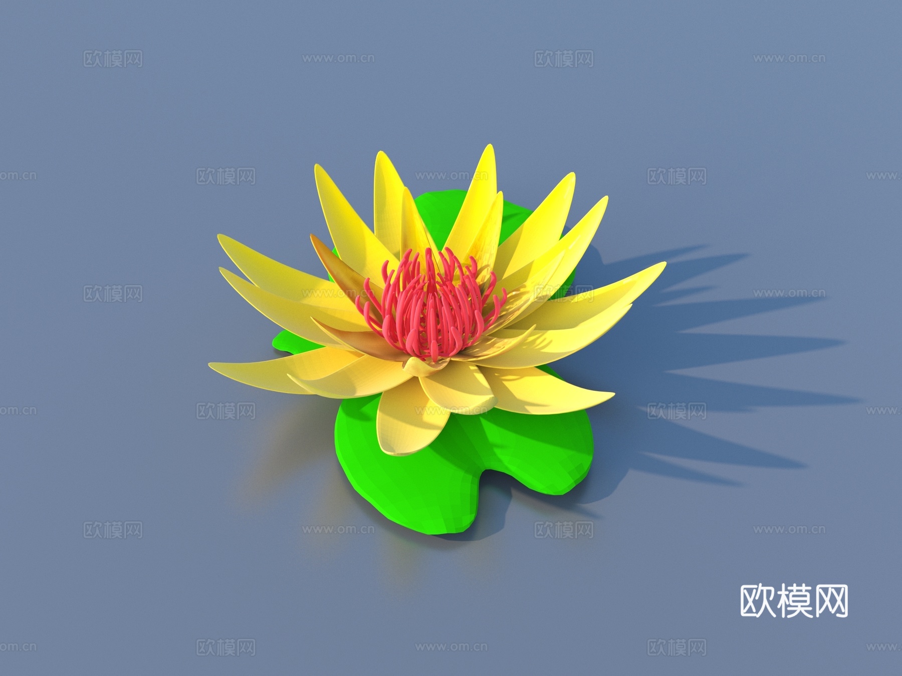 花 卡通花 野花 绿植 花朵3d模型